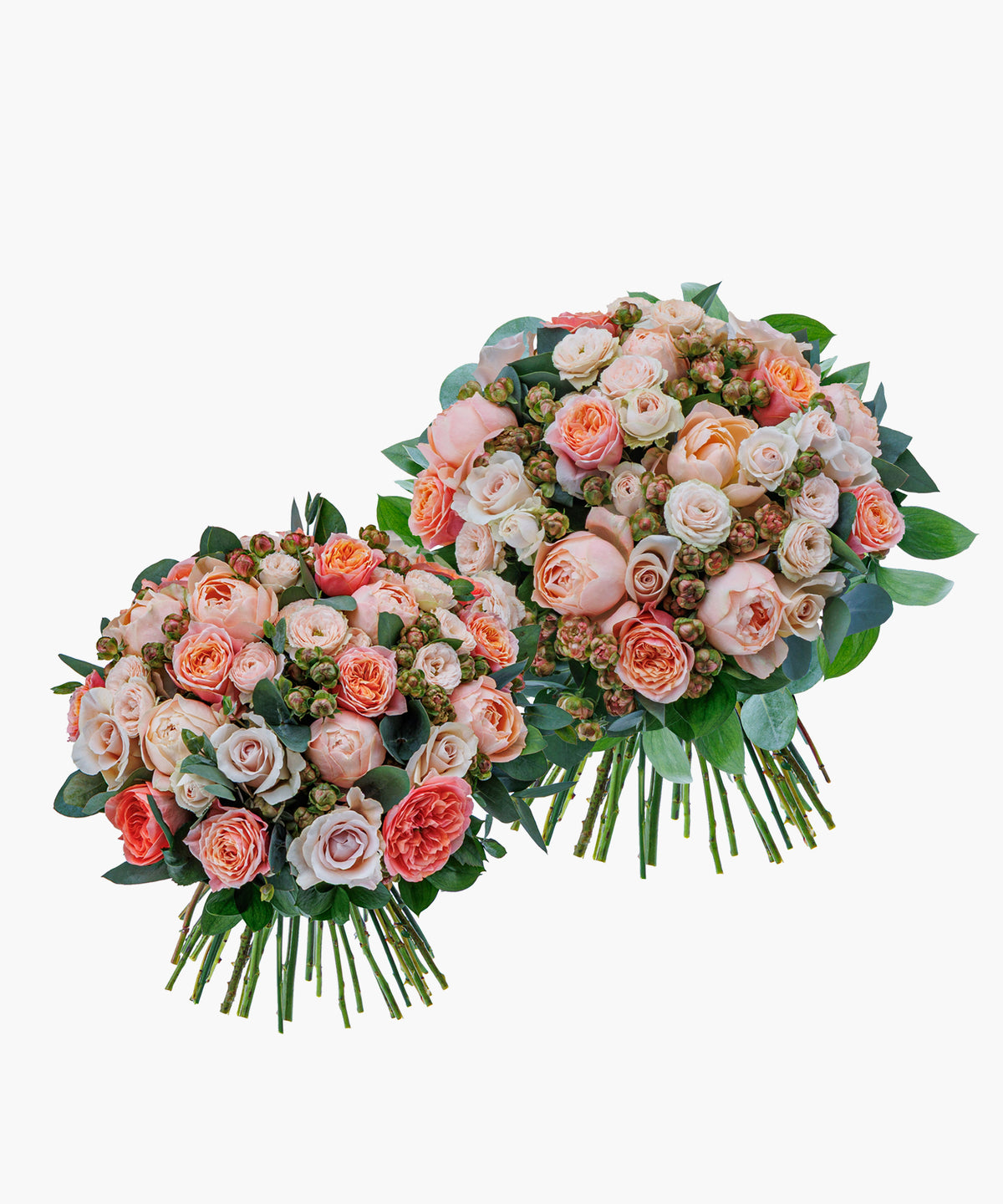 Champagne Roses