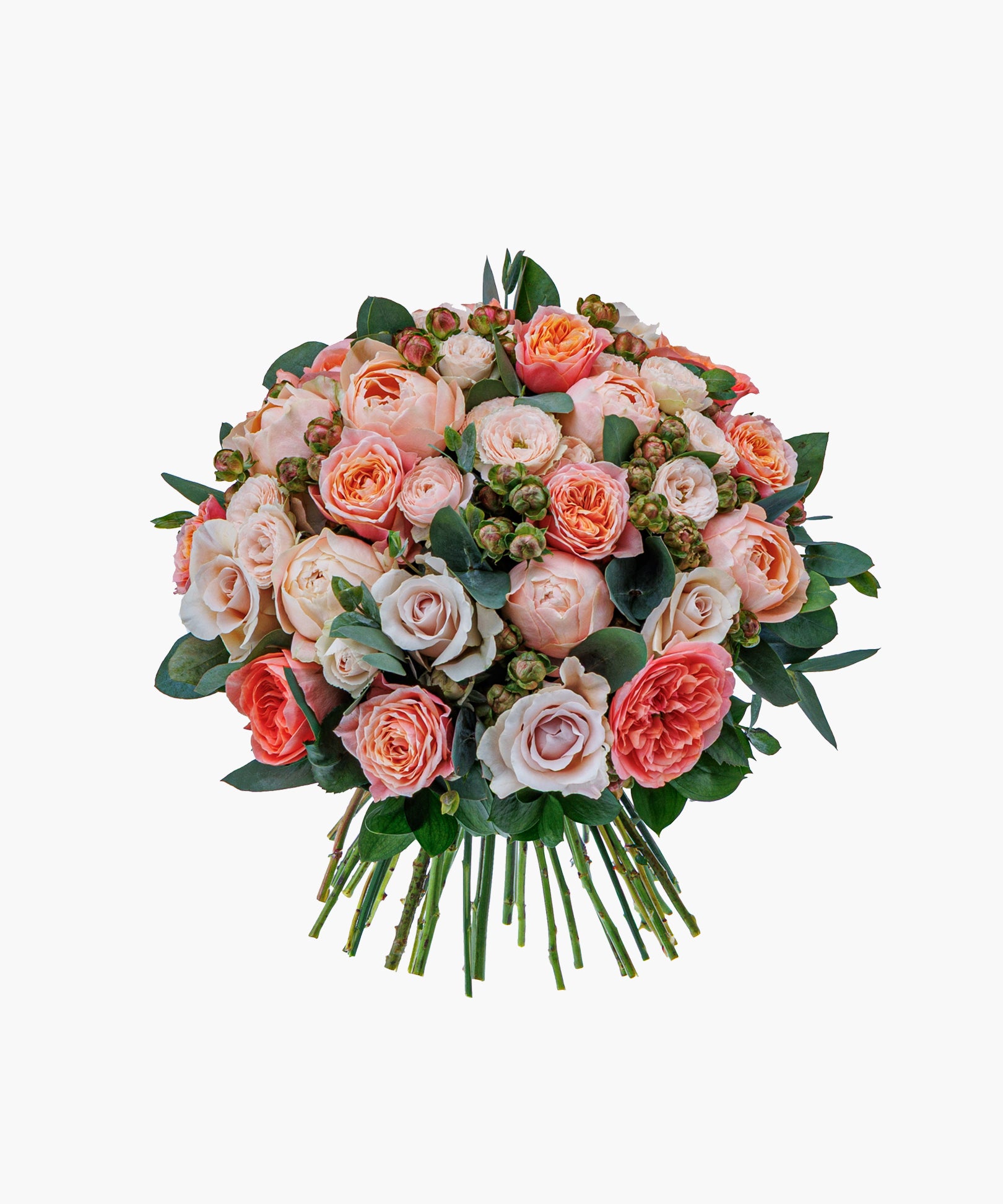 Champagne Roses
