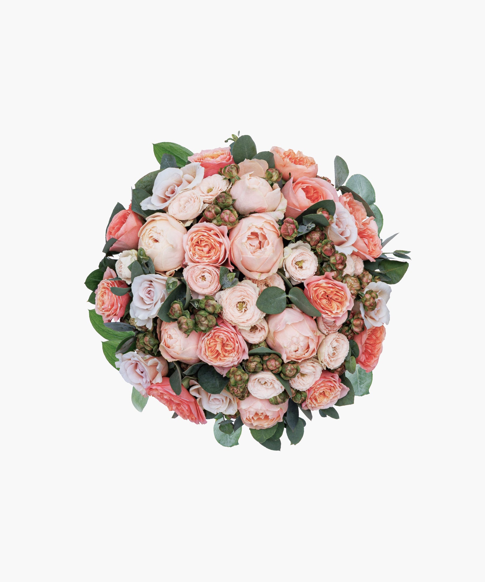 Champagne Roses