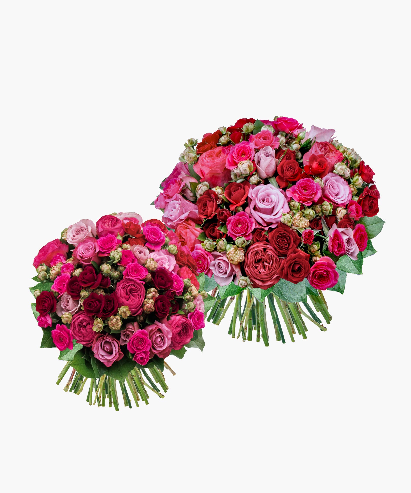 Grace Roses