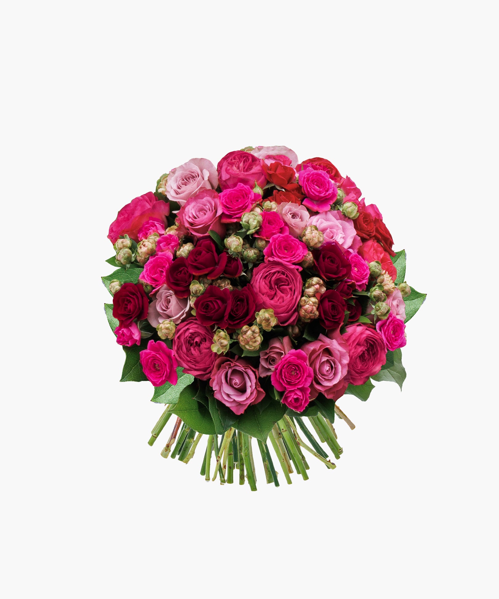 Grace Roses