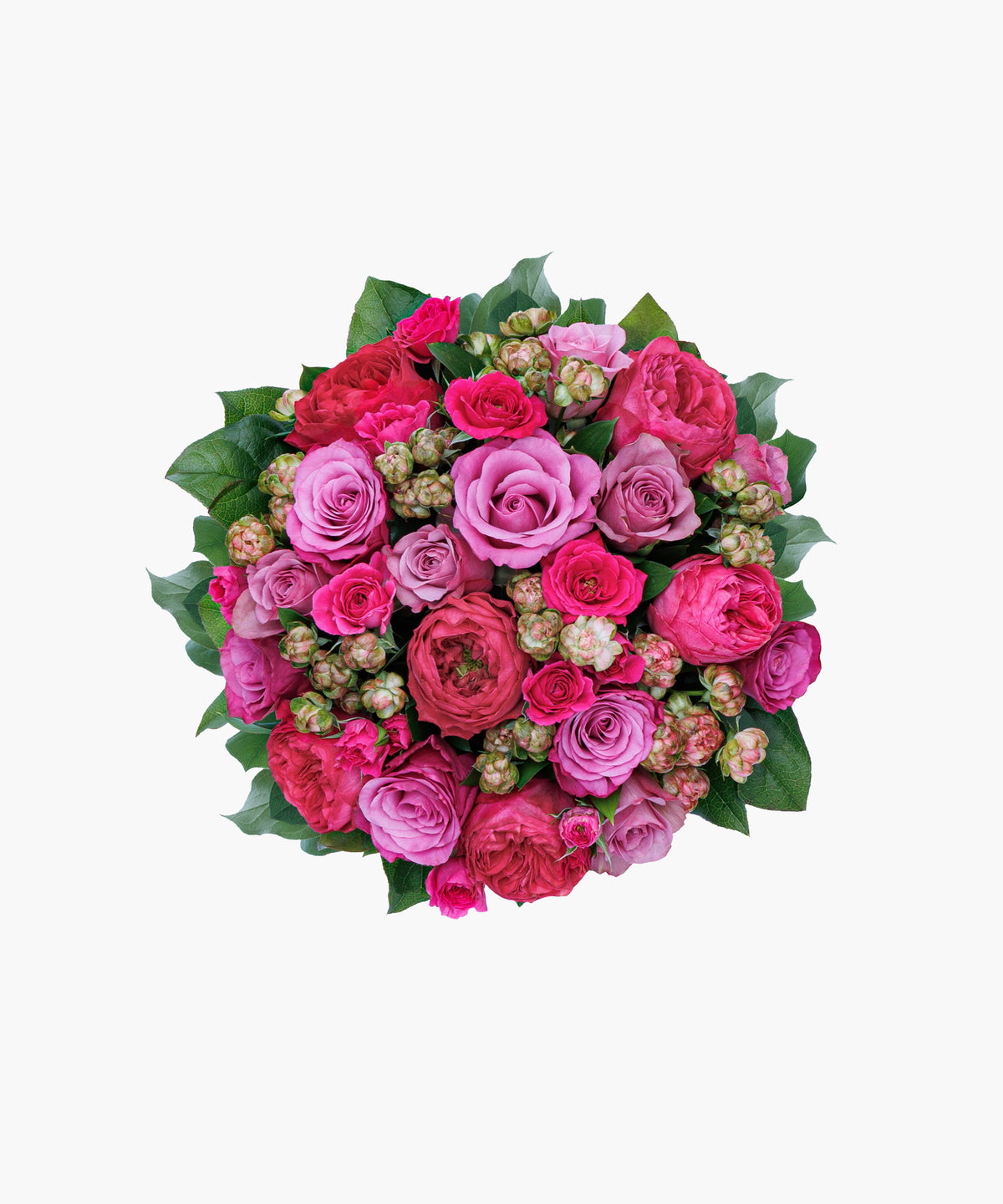 Grace Roses