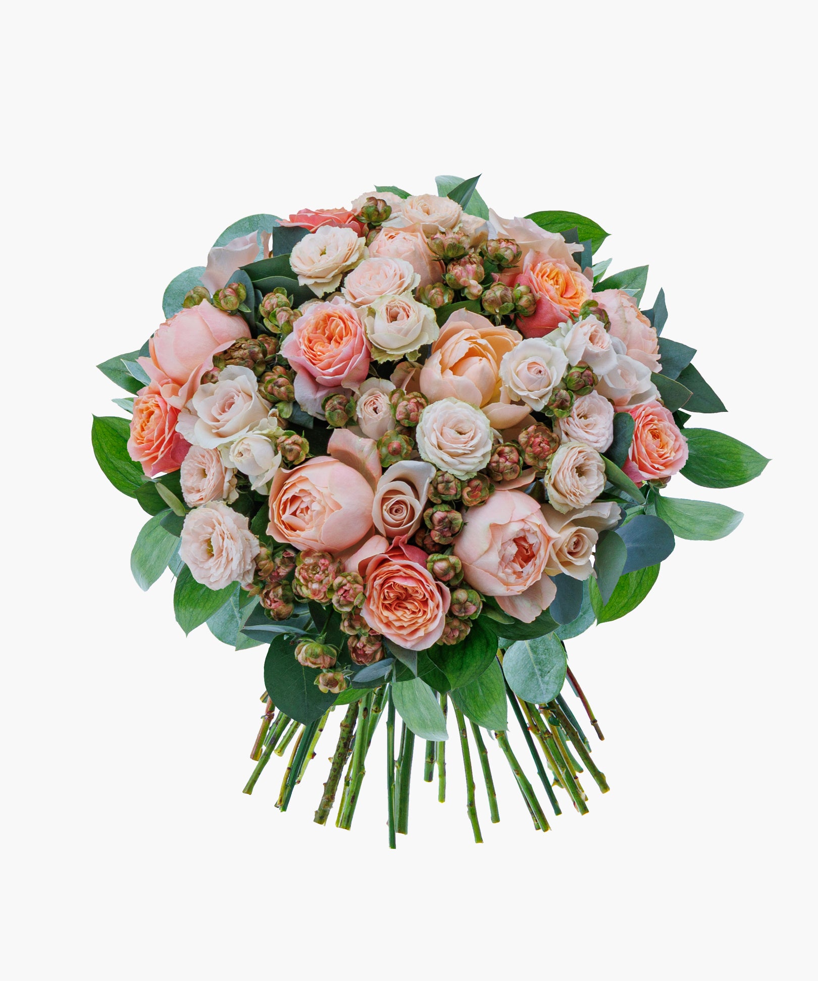 Champagne Roses