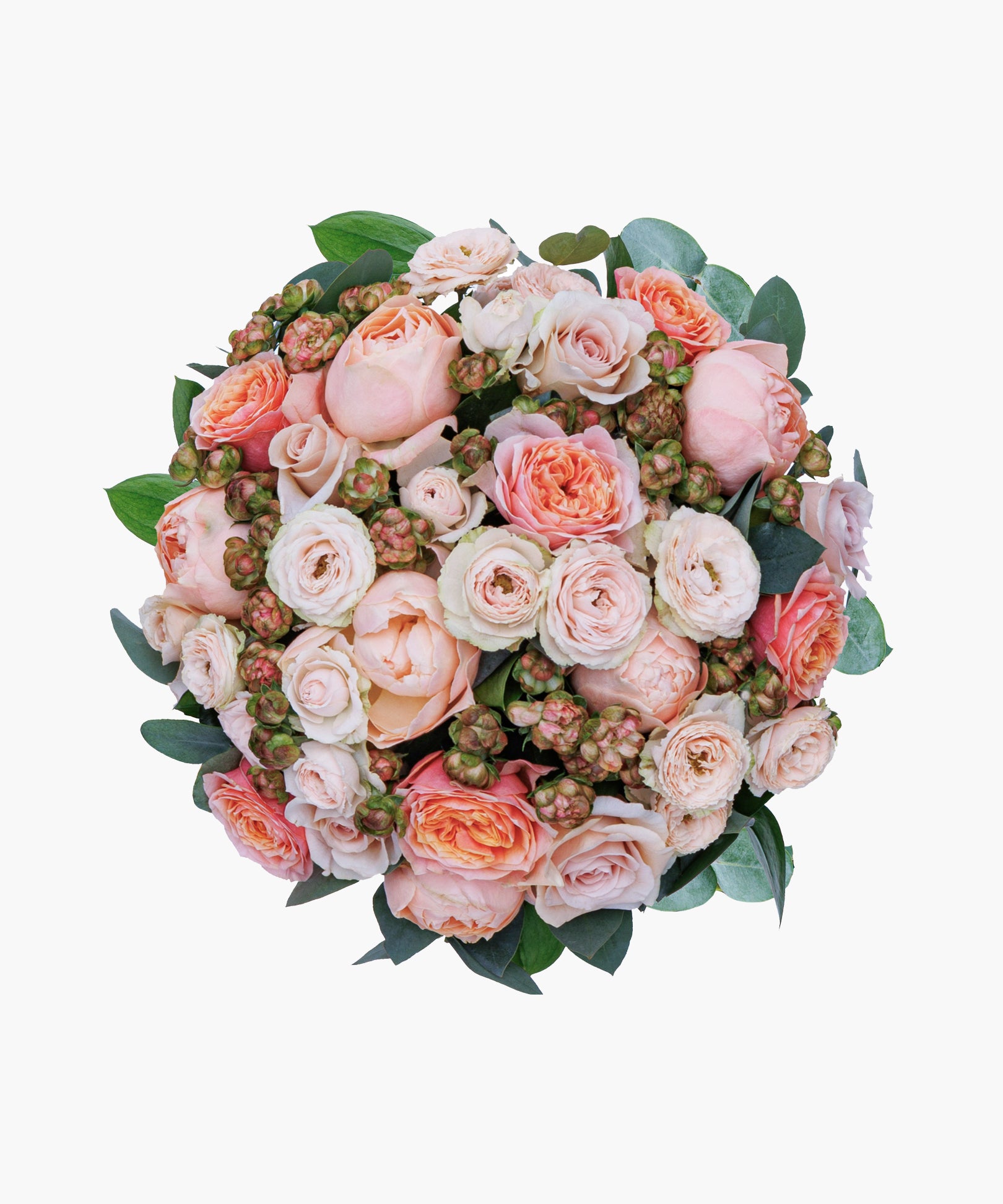 Champagne Roses