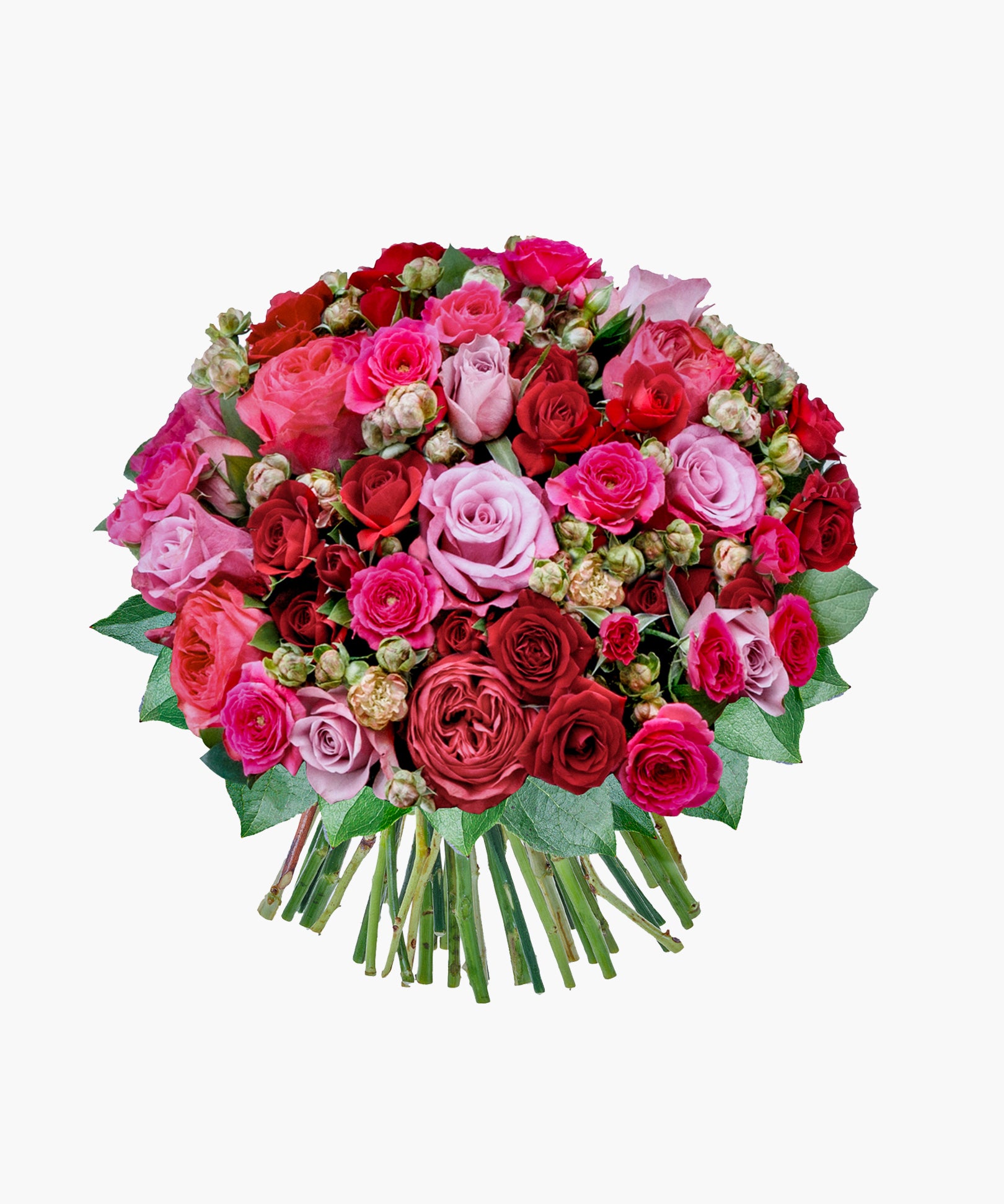 Grace Roses