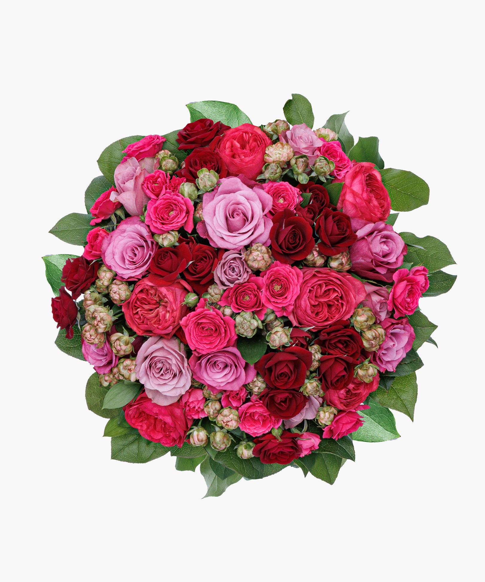 Grace Roses