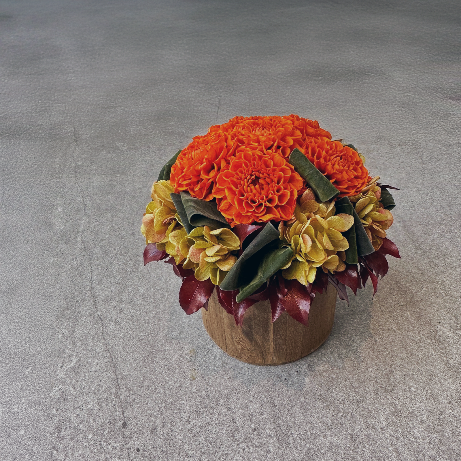 Fall Foliage Orange