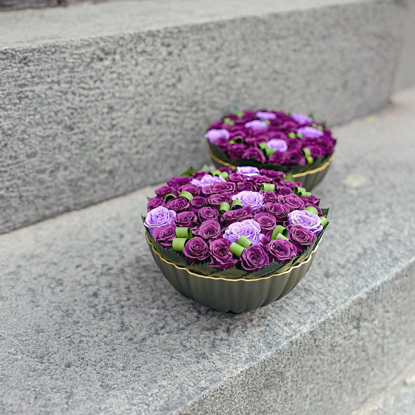 Purple Rose Harmony