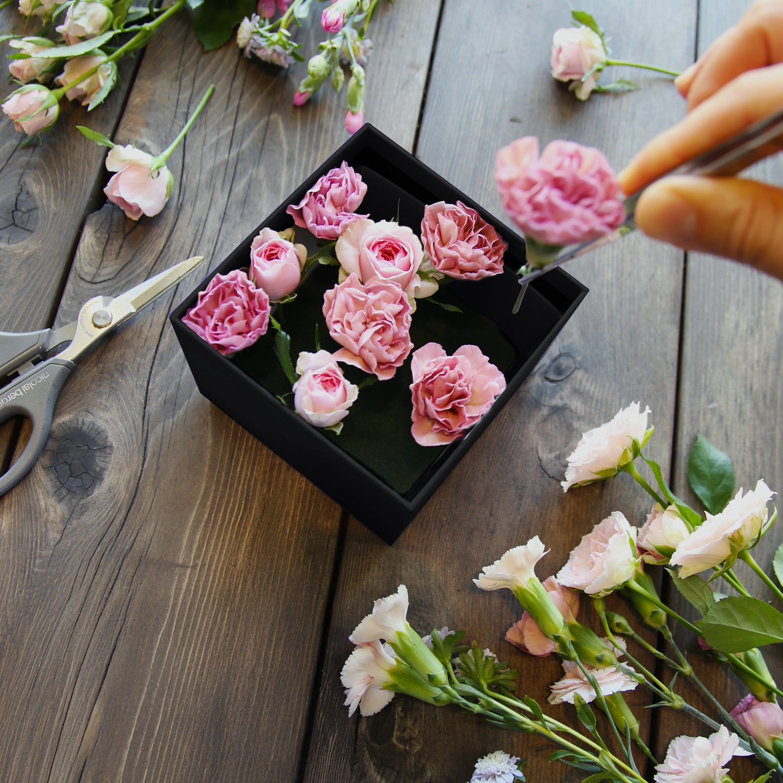 Flower Box 25th – Everyone Welcome Part 2