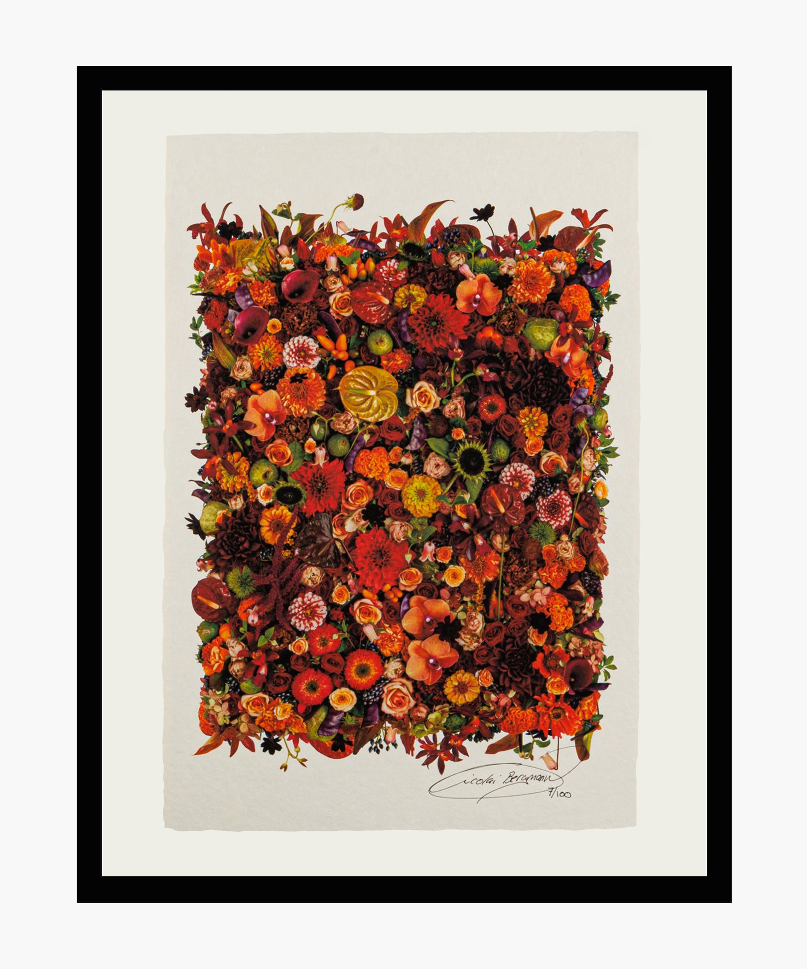 KUMIAWASE Photo print on AWA WASHI (BIZAN) / KUMIAWASE フォトプリント 阿波和紙(びざん) 額装