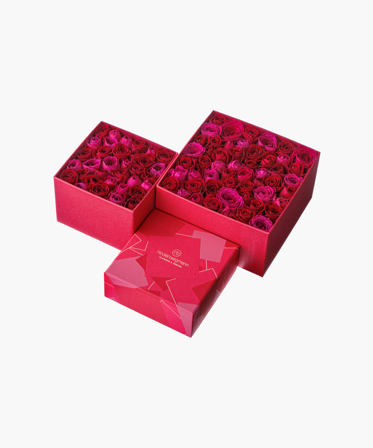 Timeless Rose Red