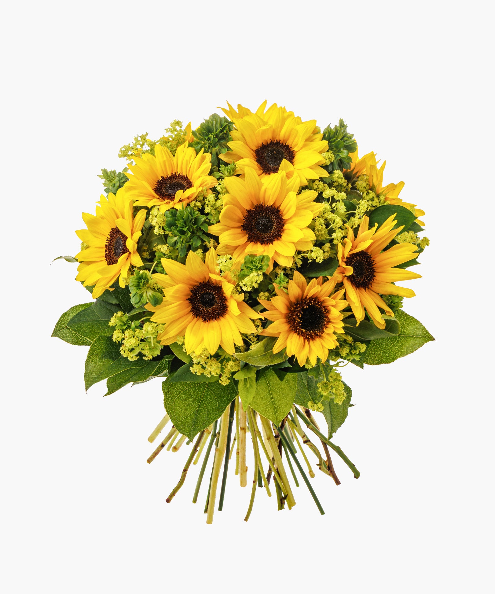 Sunshine Bouquet(サンシャインブーケ)