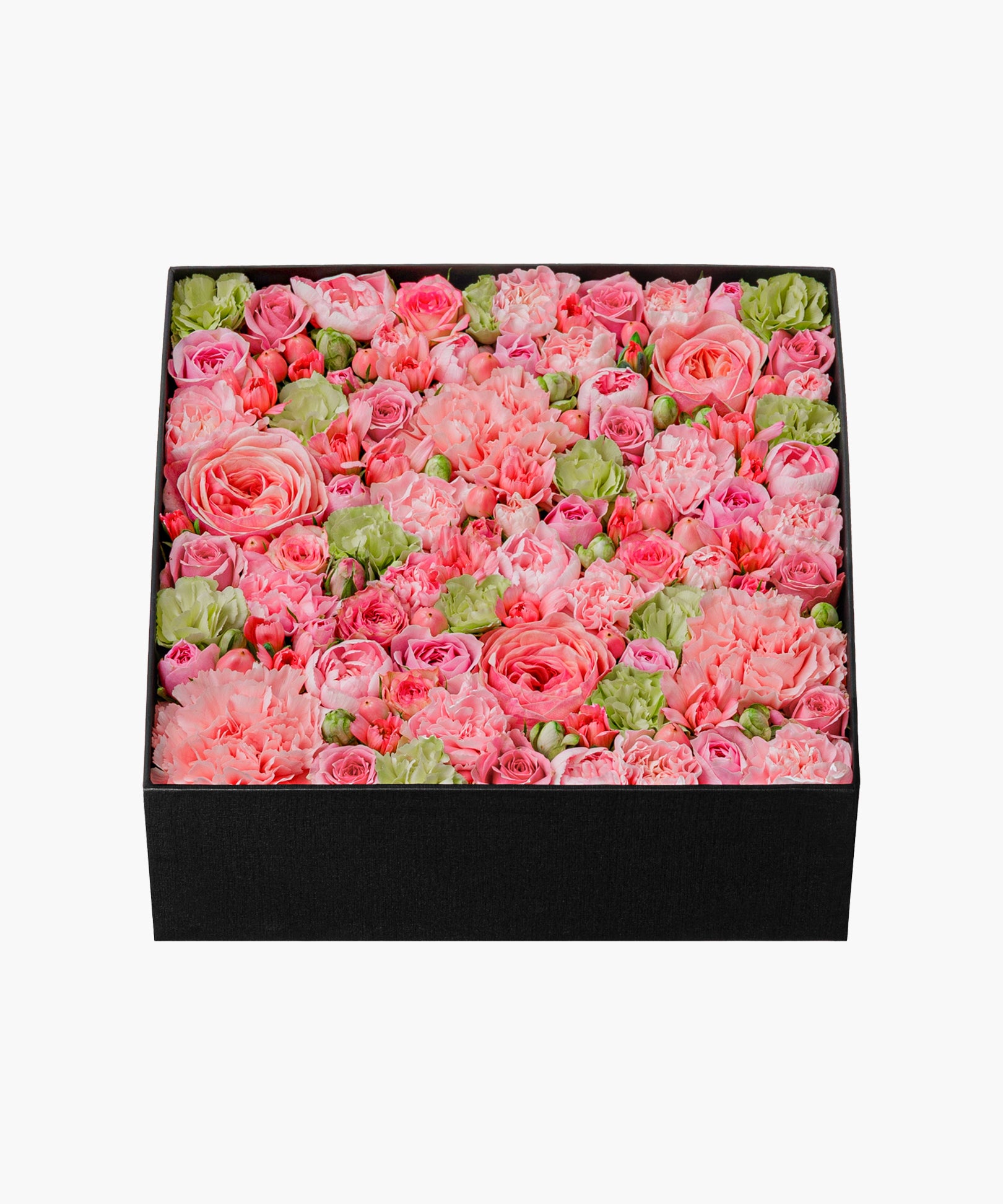 Sweet Harmony (スイート ハーモニー)