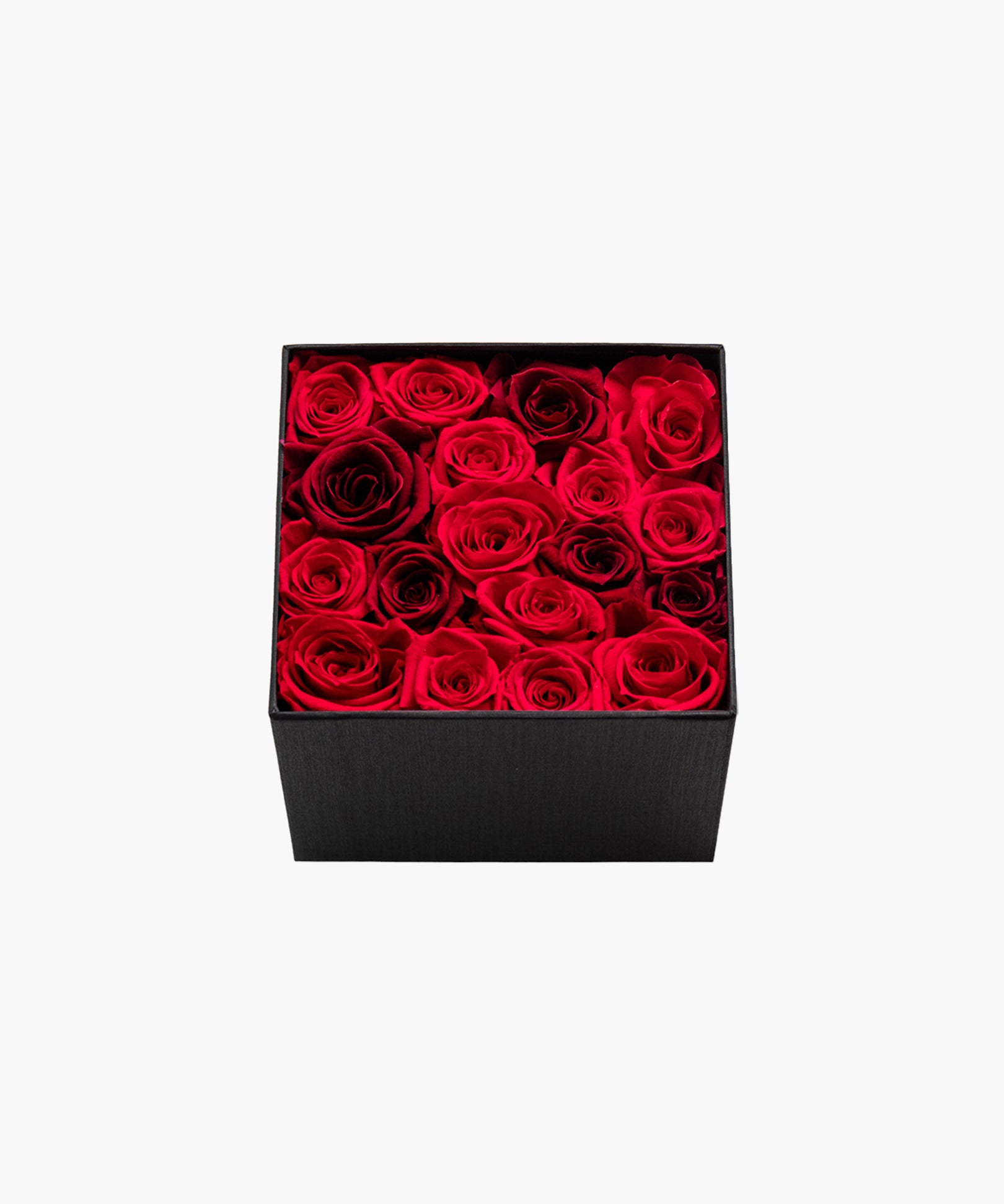 Red Rose Deluxe