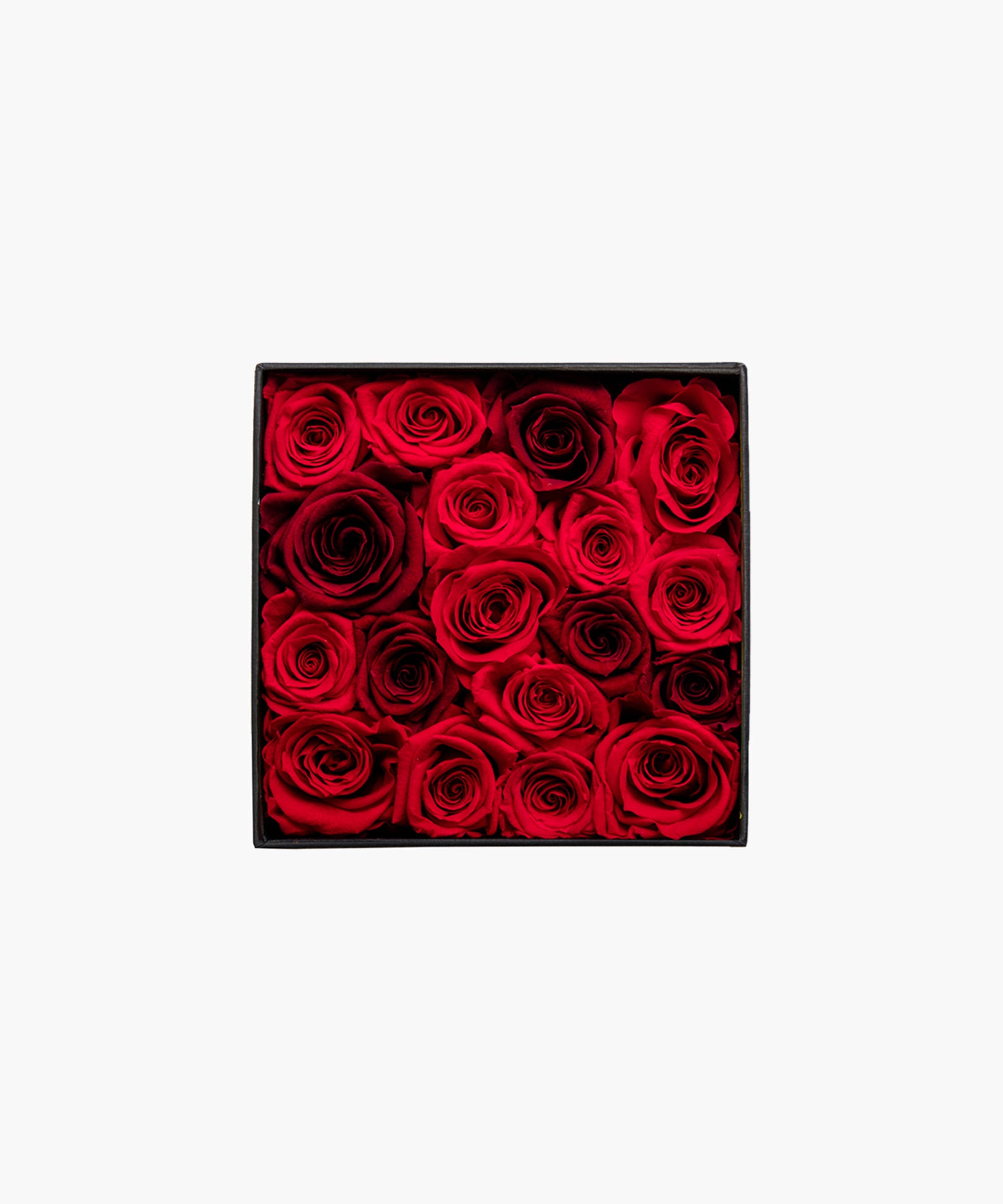 Red Rose Deluxe