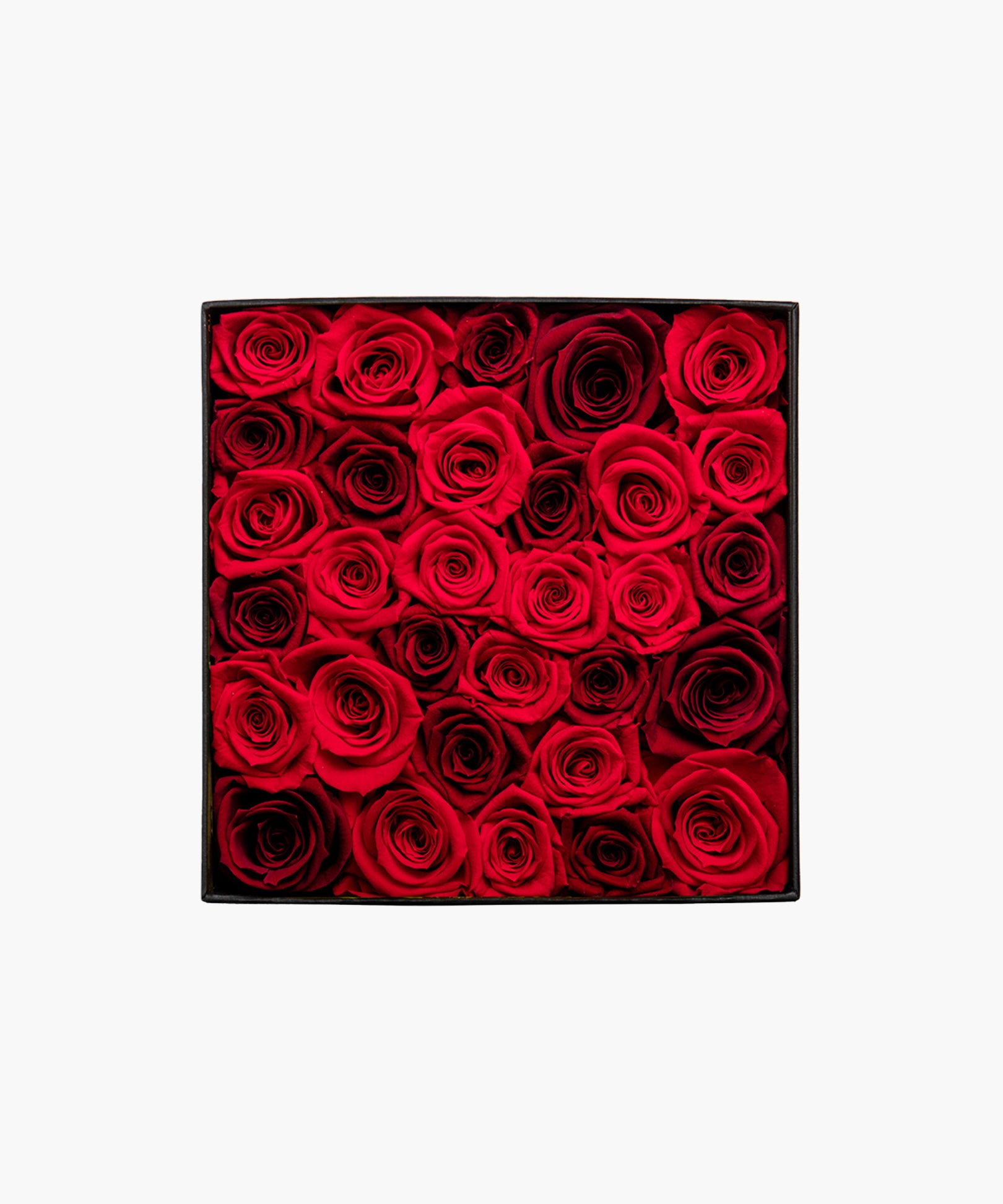 Red Rose Deluxe