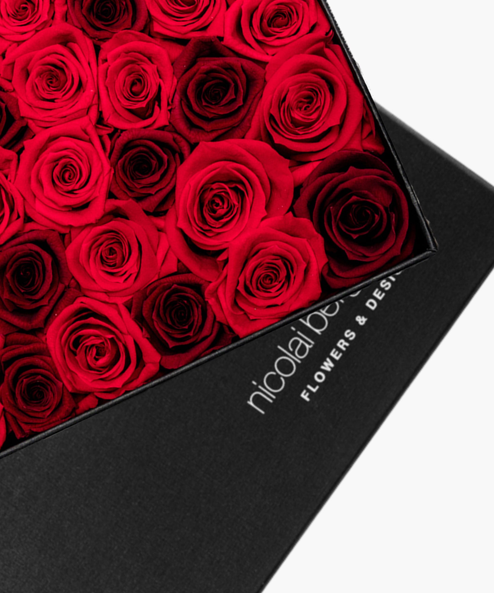 Red Rose Deluxe