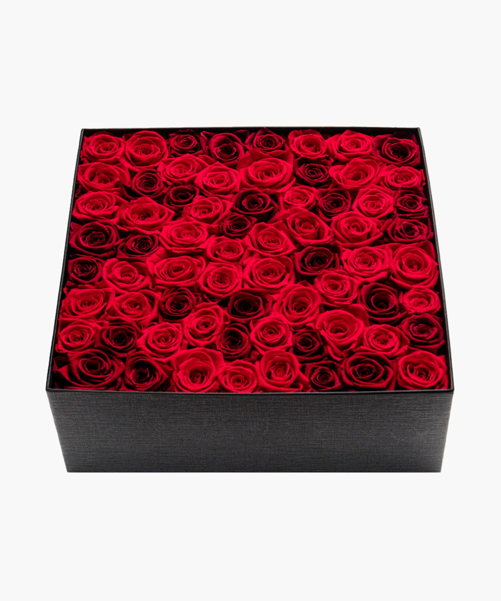 Red Rose Deluxe