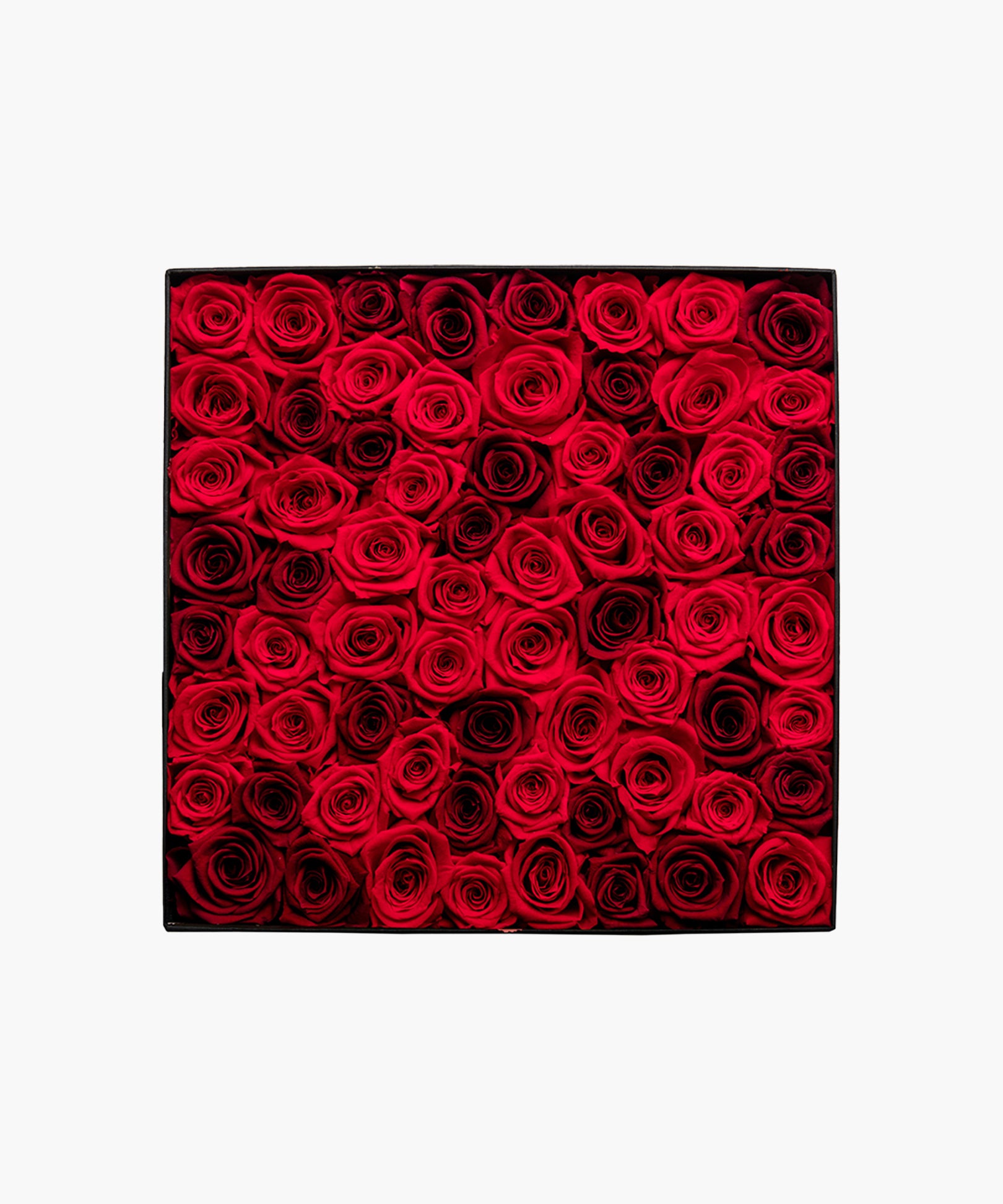 Red Rose Deluxe