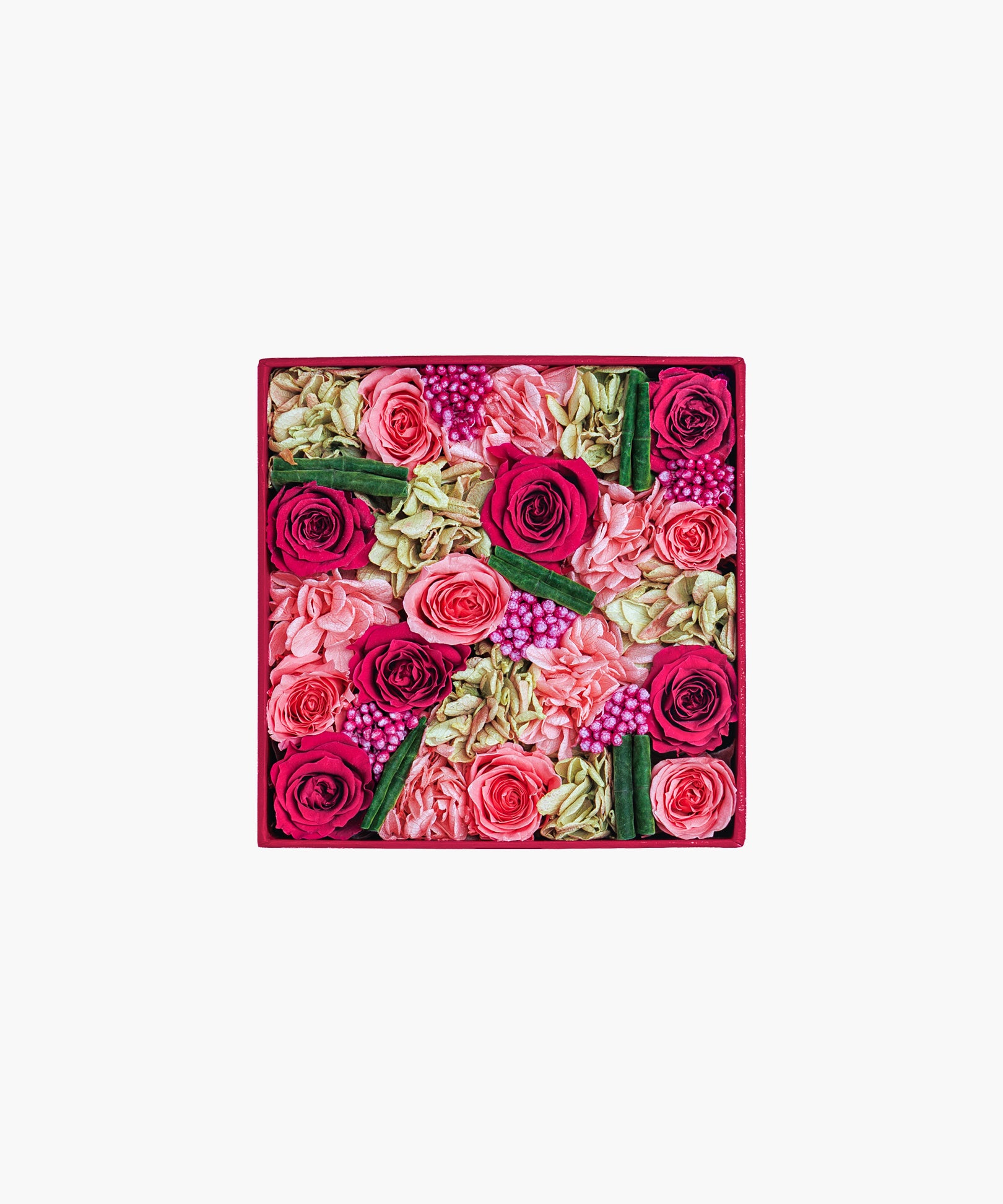 My message for you Gift Set -  Message in a box with FRAMA (My message for you ギフトセット - メッセージ イン ア ボックス ウィズ フラマ)