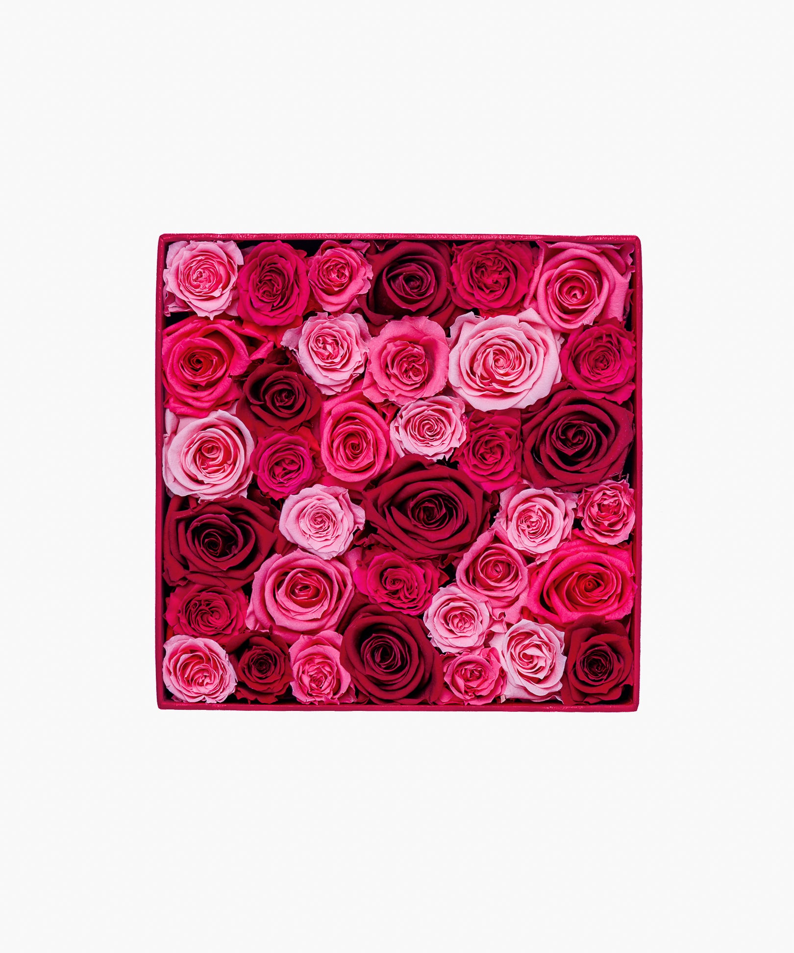 Message in a box – Thankful Rose（メッセージ イン ア ボックス