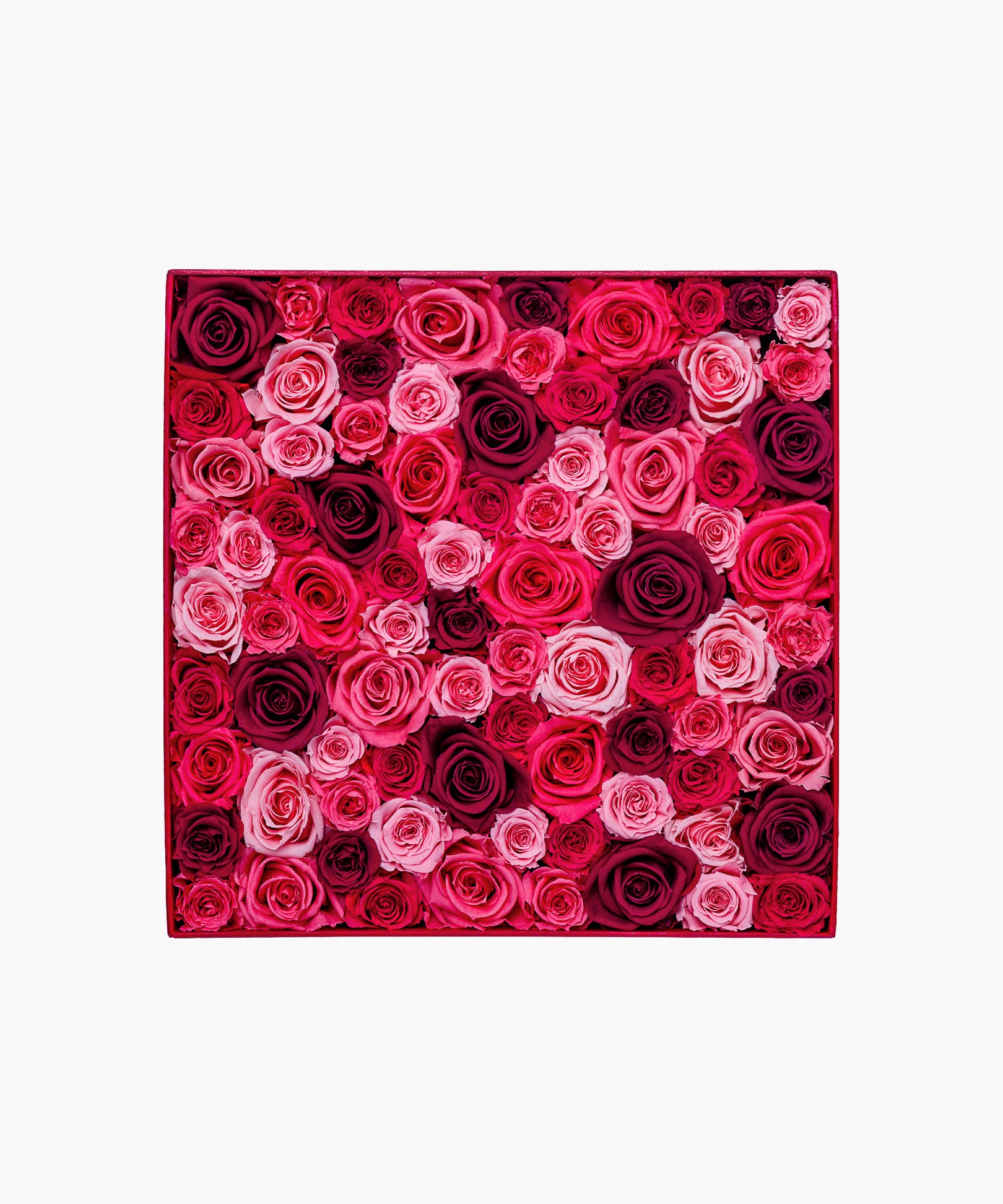 Message in a box – Thankful Rose（メッセージ イン ア ボックス