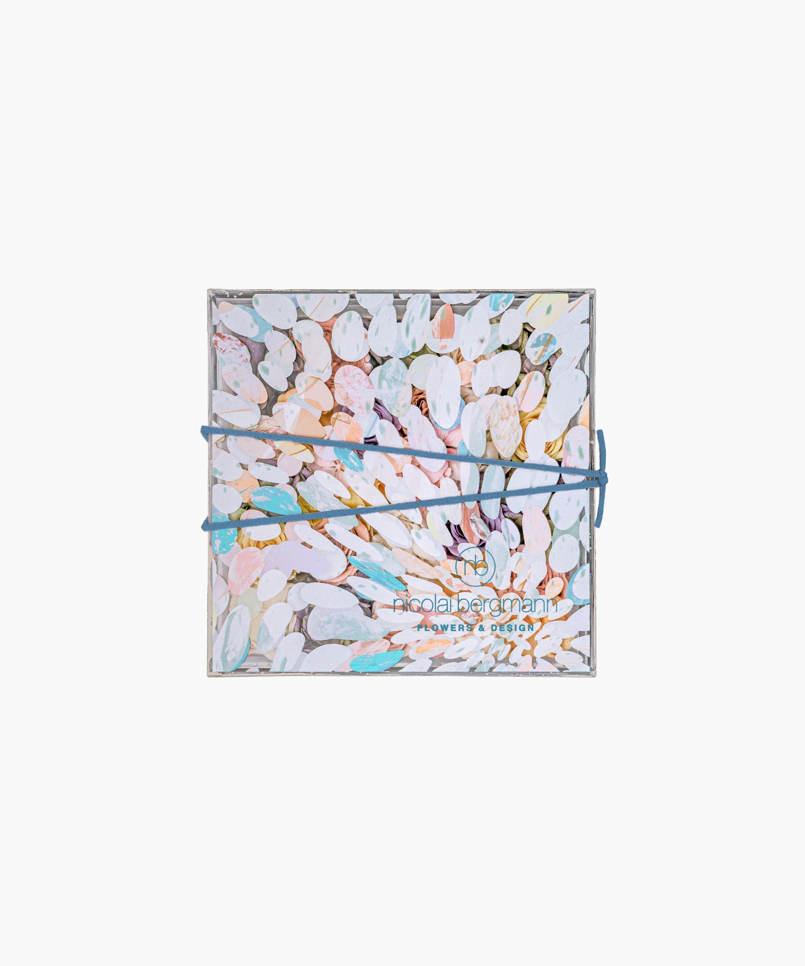 Ocean Bloom Set - Sunlight Pebbles with FRAMA (Ocean Bloomセット - サンライト ペブルス ウィズ フラマ)