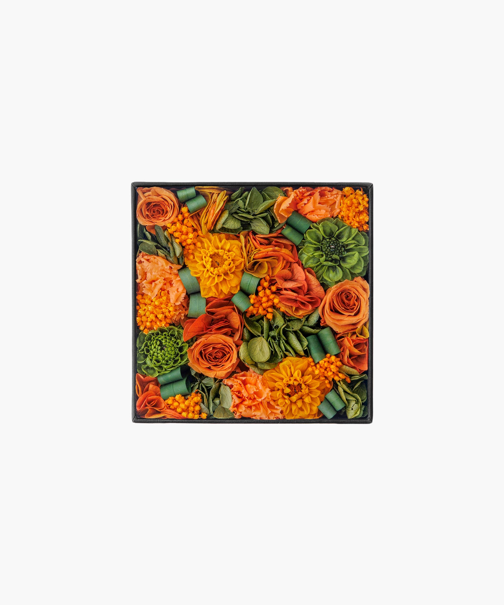 Mandarine Dahlia (マンダリンダリア)