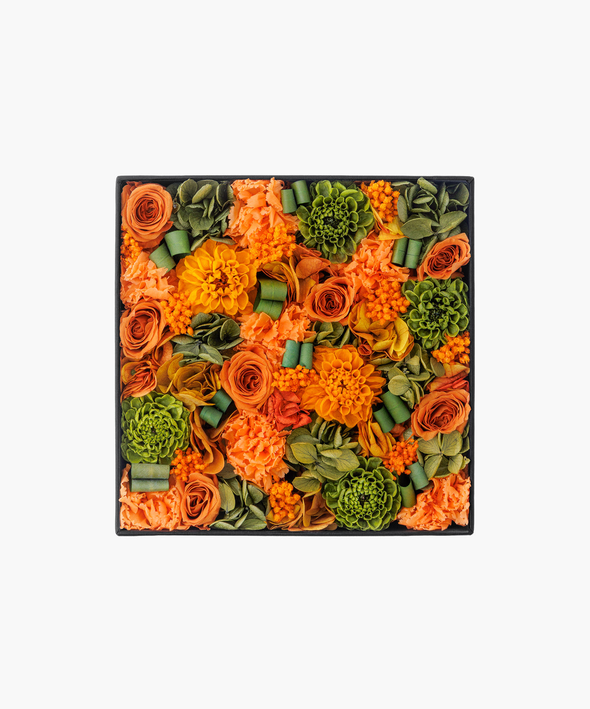 Mandarine Dahlia (マンダリンダリア)