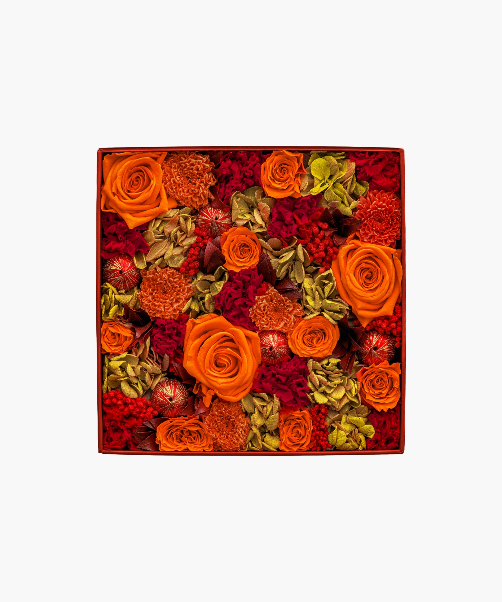 New Year Box 2026（ニューイヤーボックス 2026）