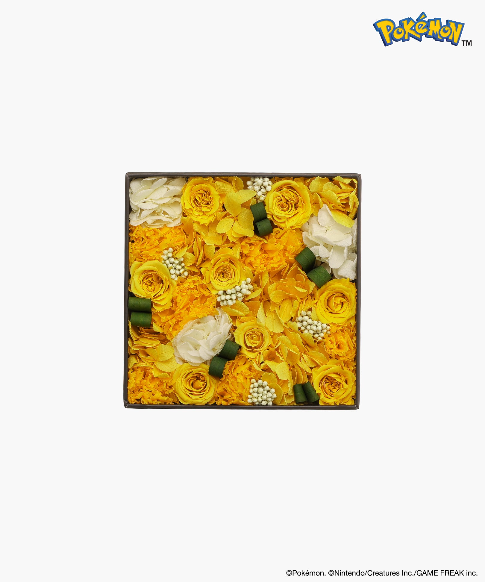 Nicolai Bergmann × Pokémon　ピカチュウ