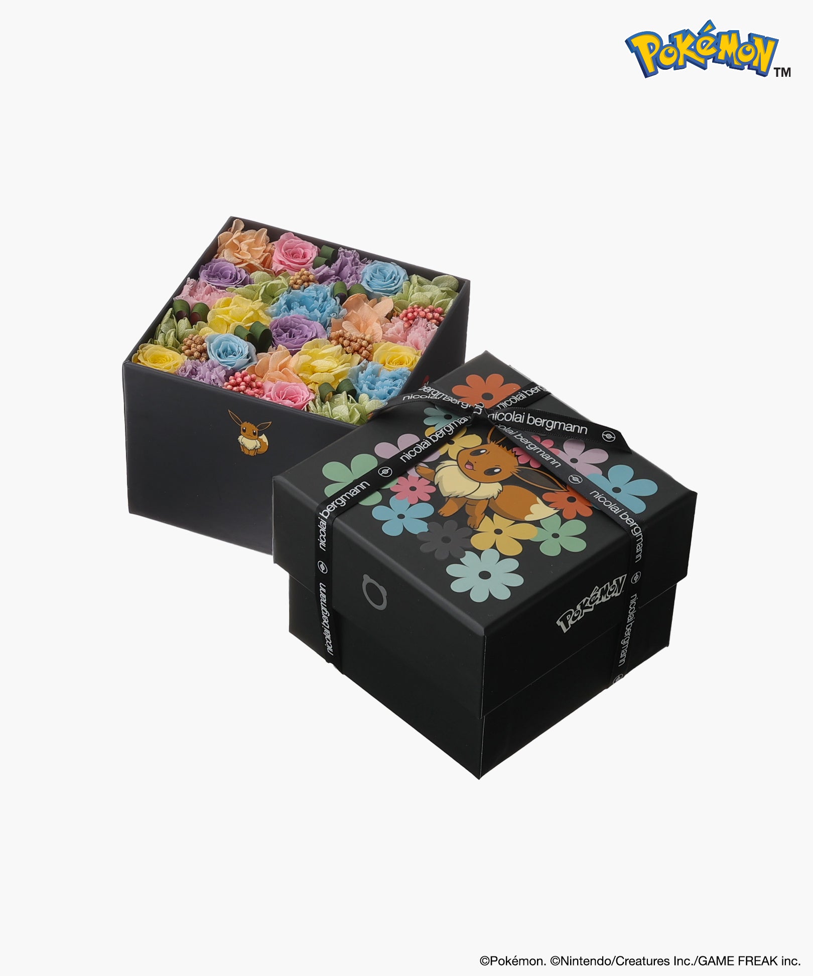 Nicolai Bergmann × Pokémon イーブイ