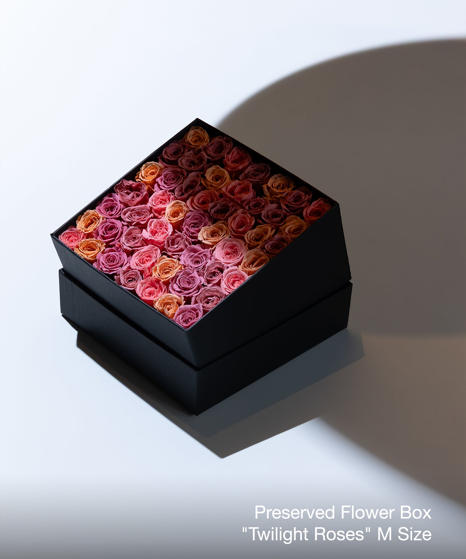 Twilight Roses