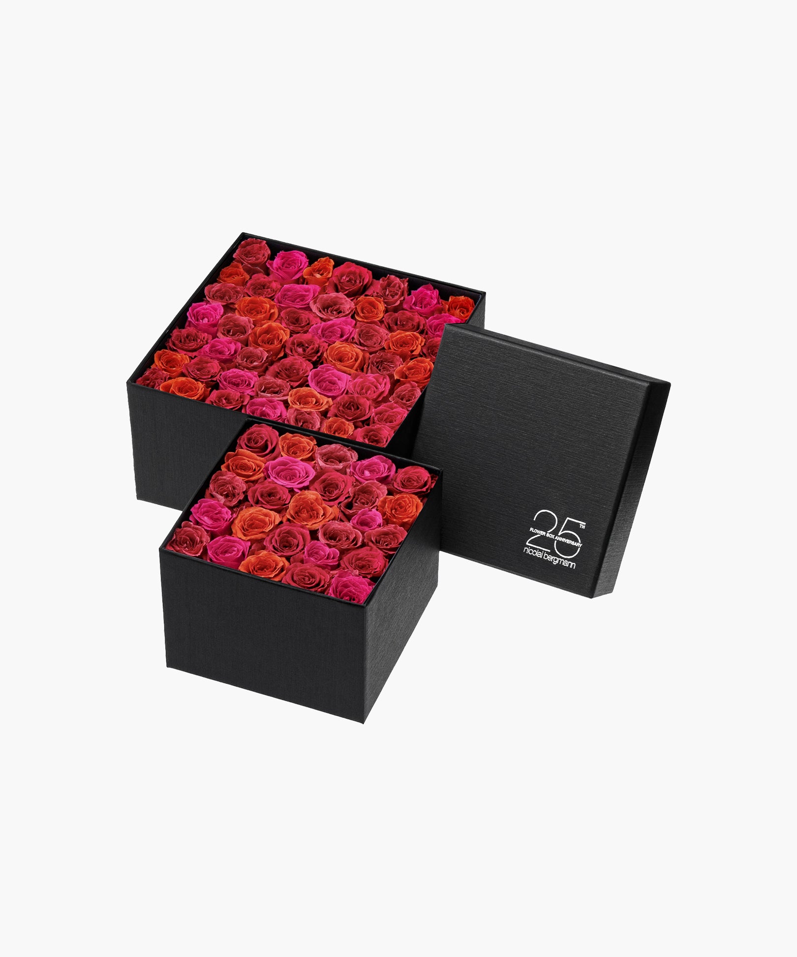 Burgundy Roses (バーガンディ ロージズ)