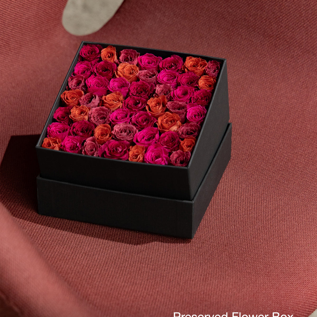 Burgundy Roses