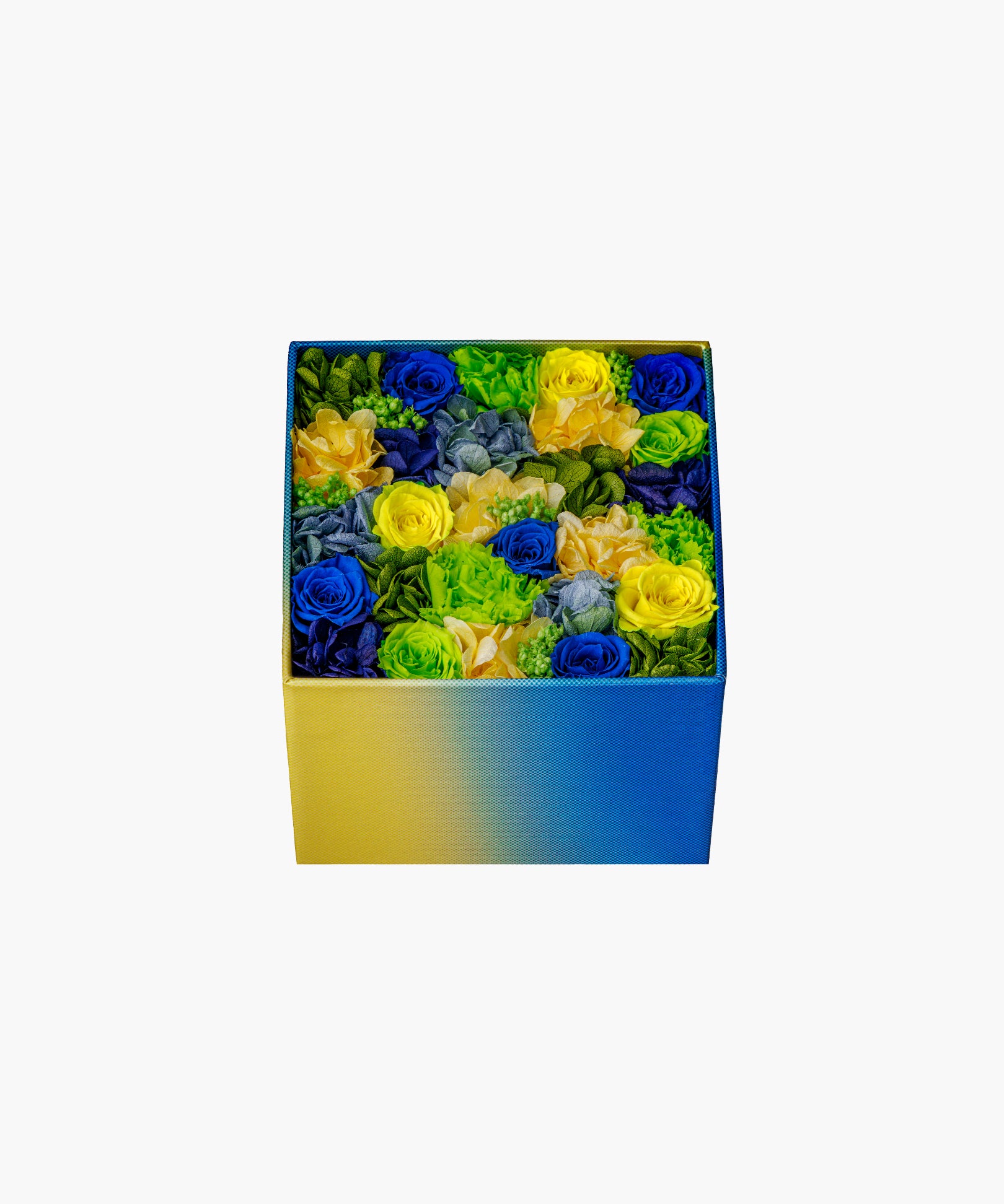 Bloomy （ブルーミー）