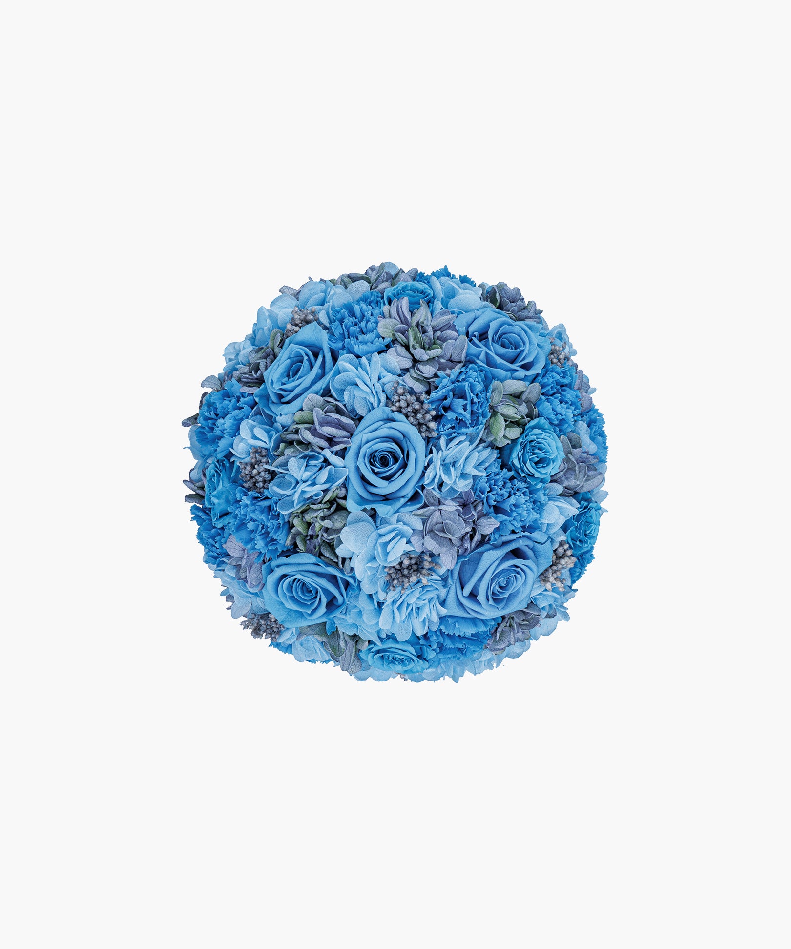 Sky Bloom