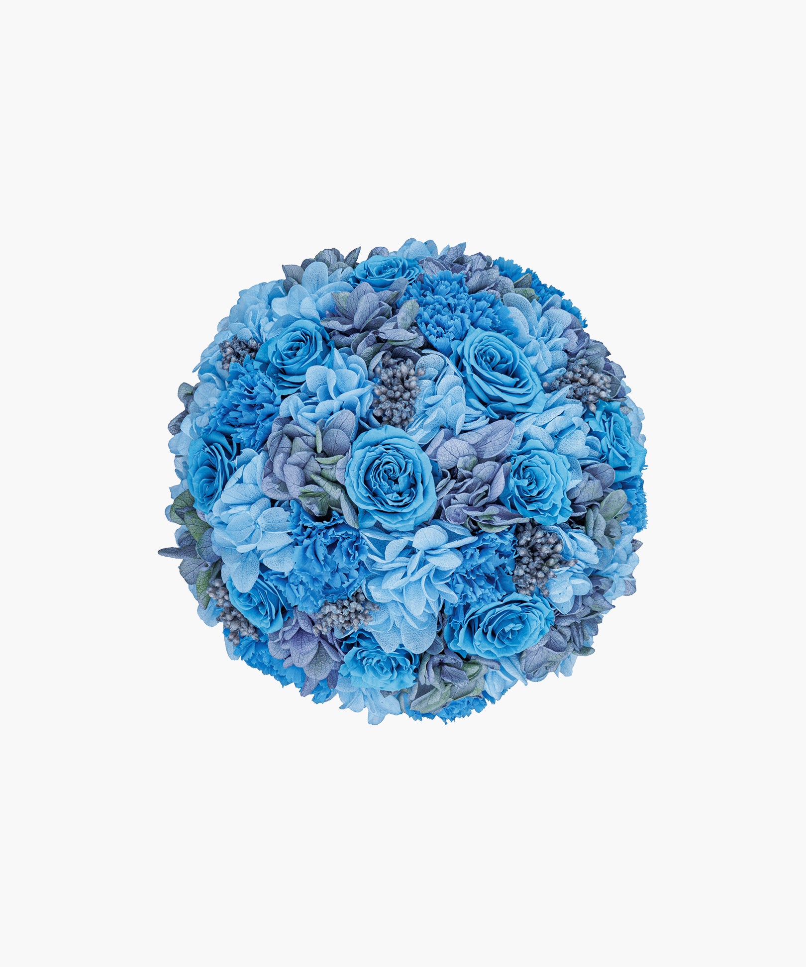 Sky Bloom