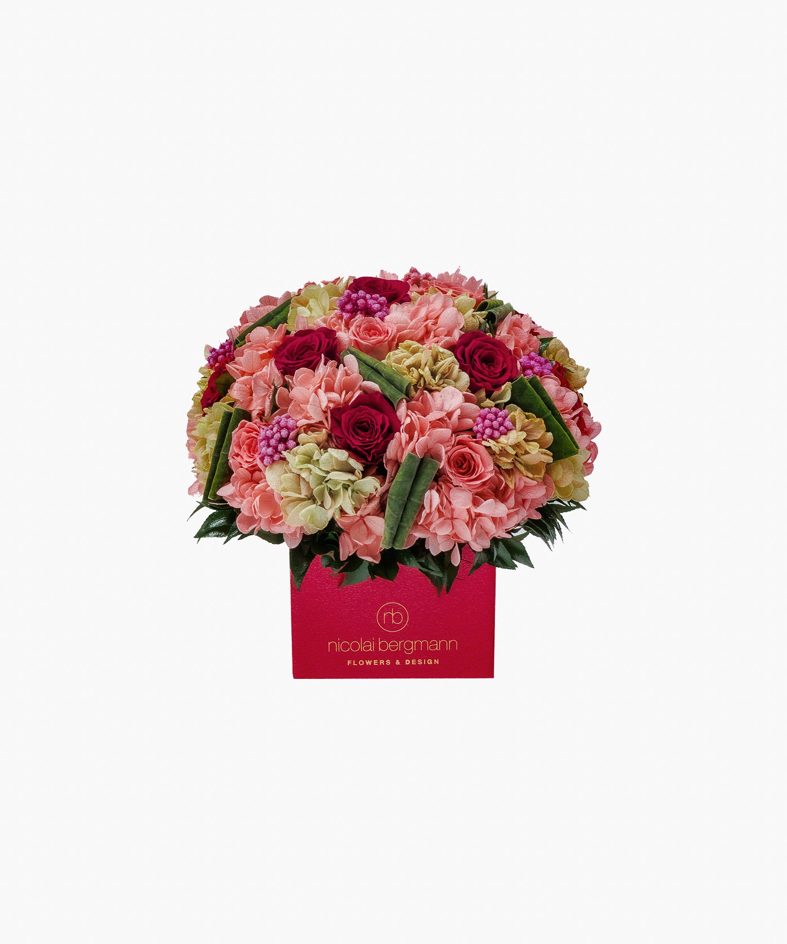 Timeless Beauty（タイムレス ビューティー）