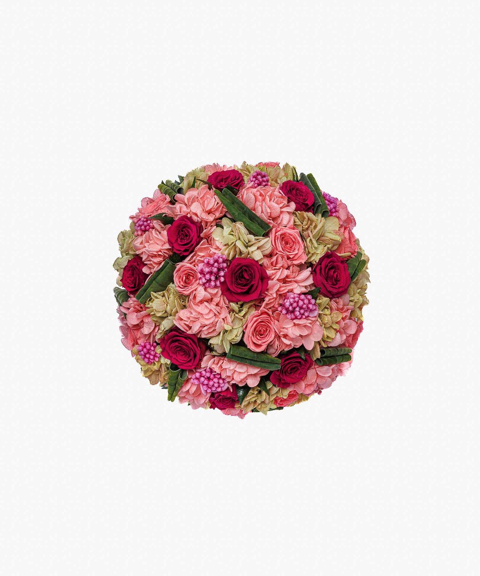 Timeless Beauty（タイムレス ビューティー）