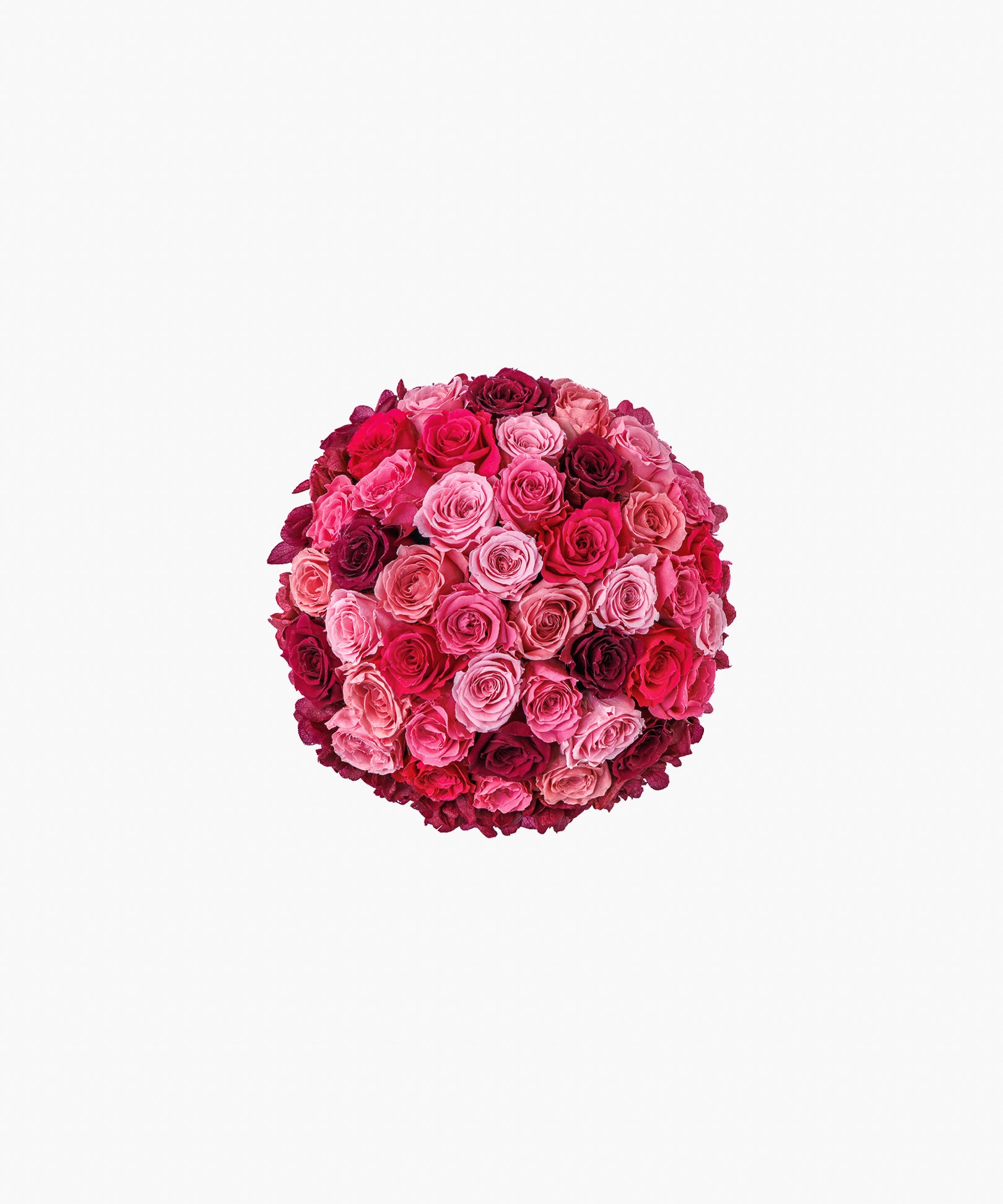 Nurtured Bloom（ナーチャード ブルーム）