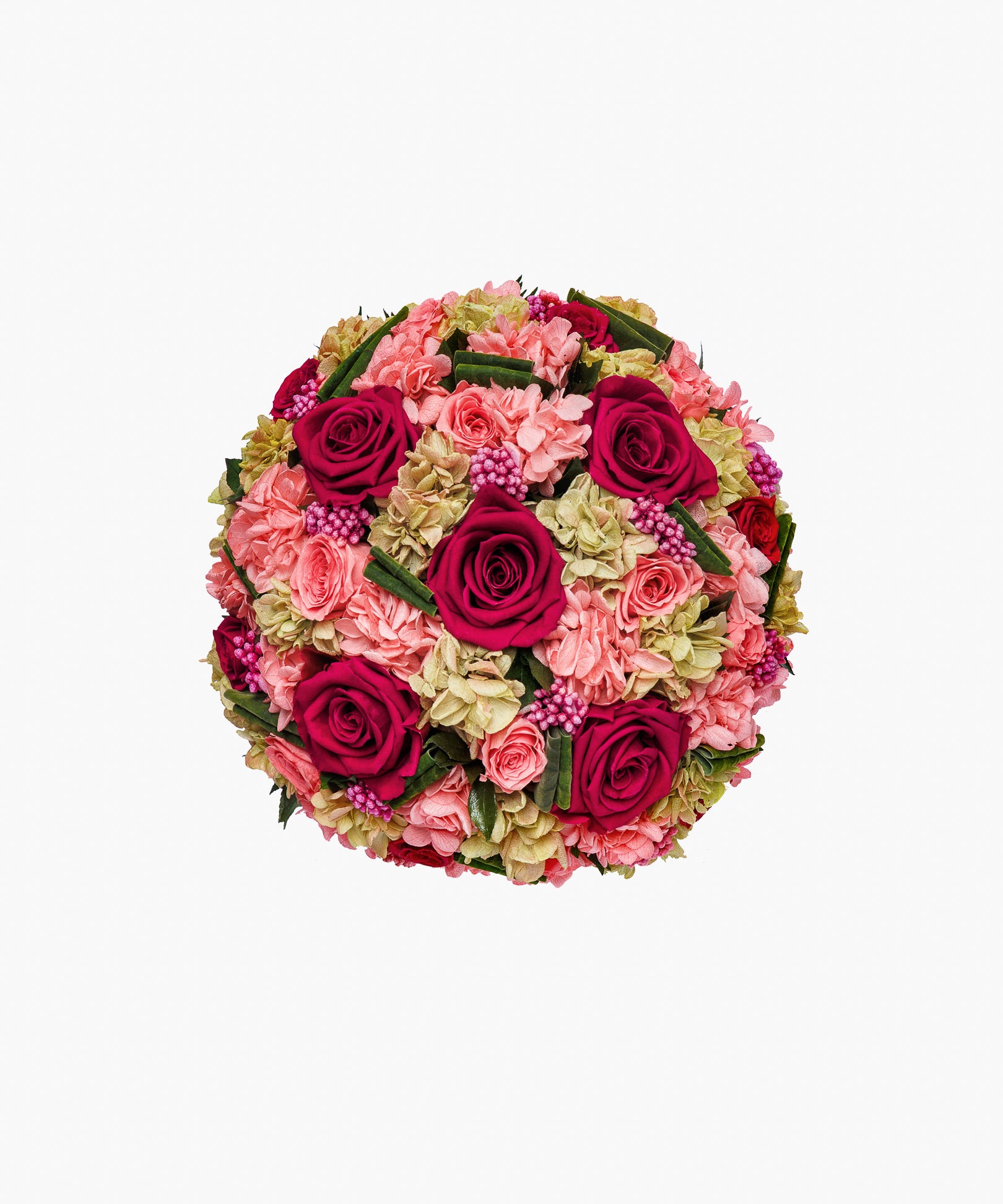 Timeless Beauty（タイムレス ビューティー）