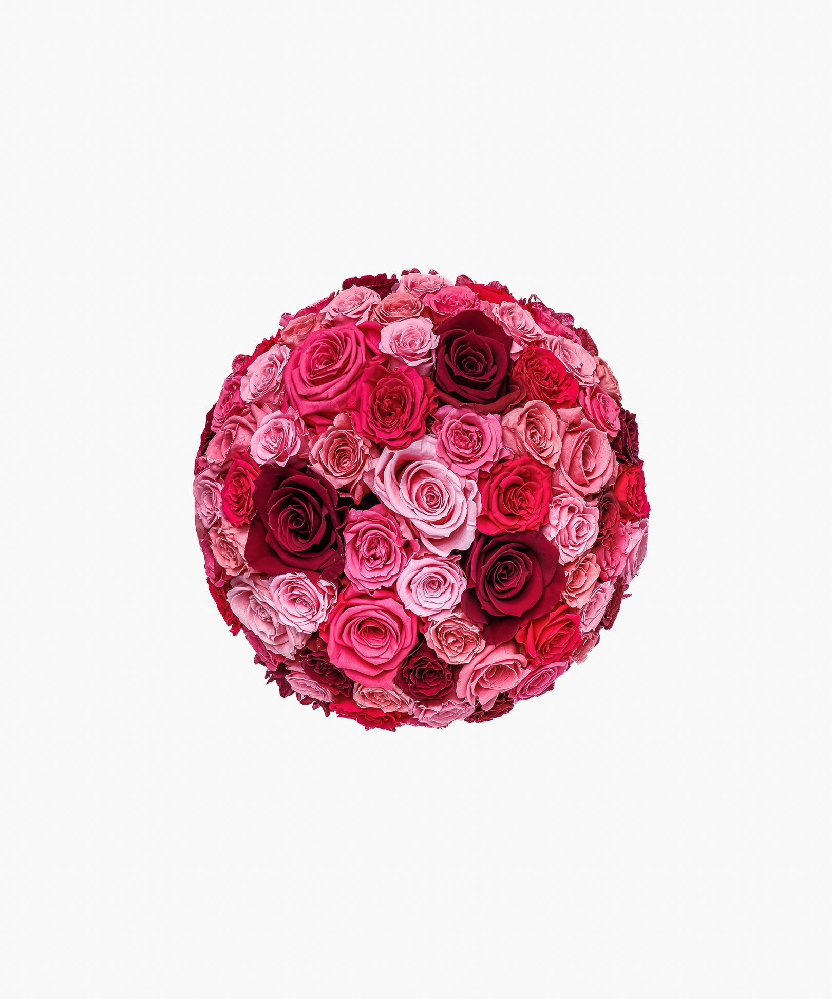 Nurtured Bloom（ナーチャード ブルーム）