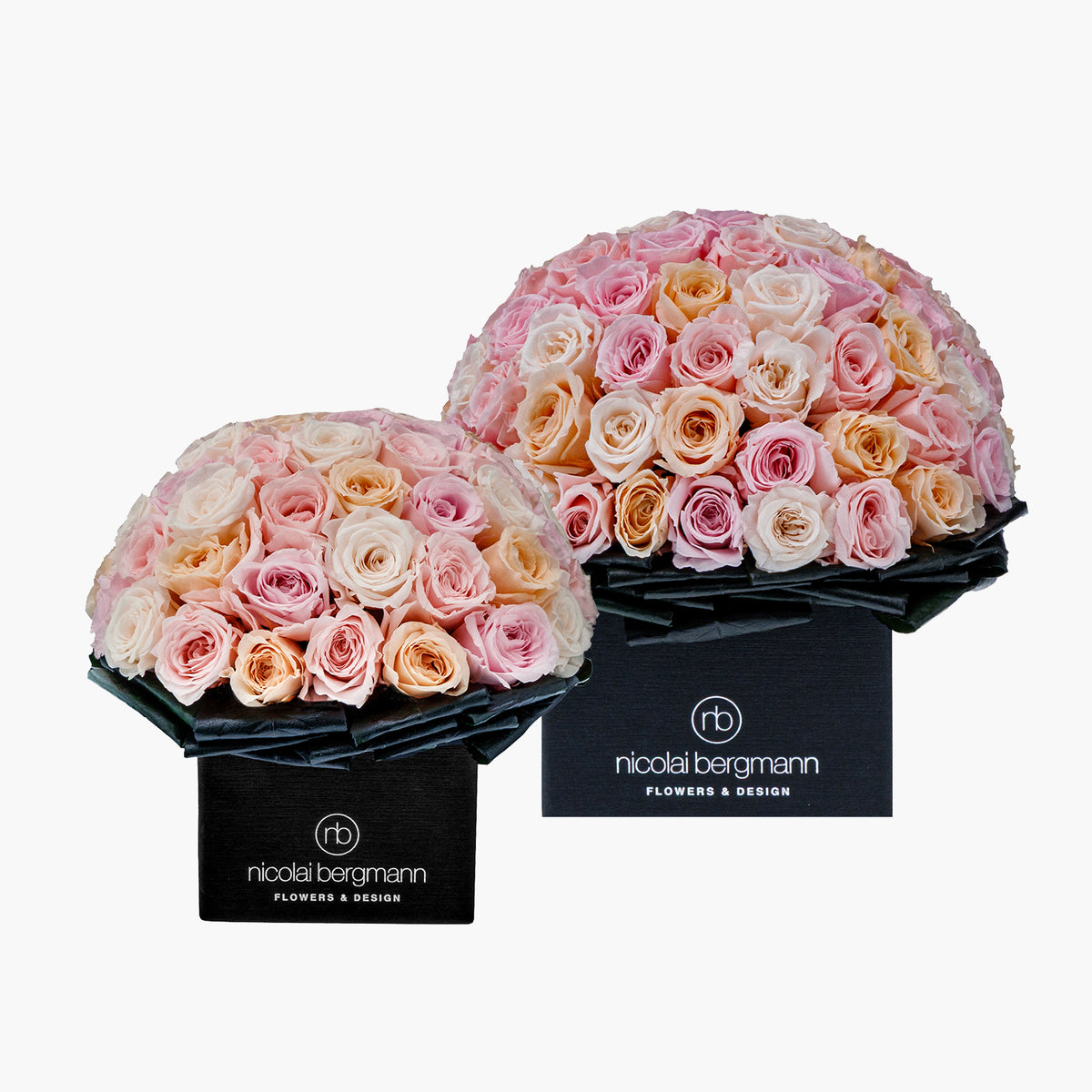 Purity Roses