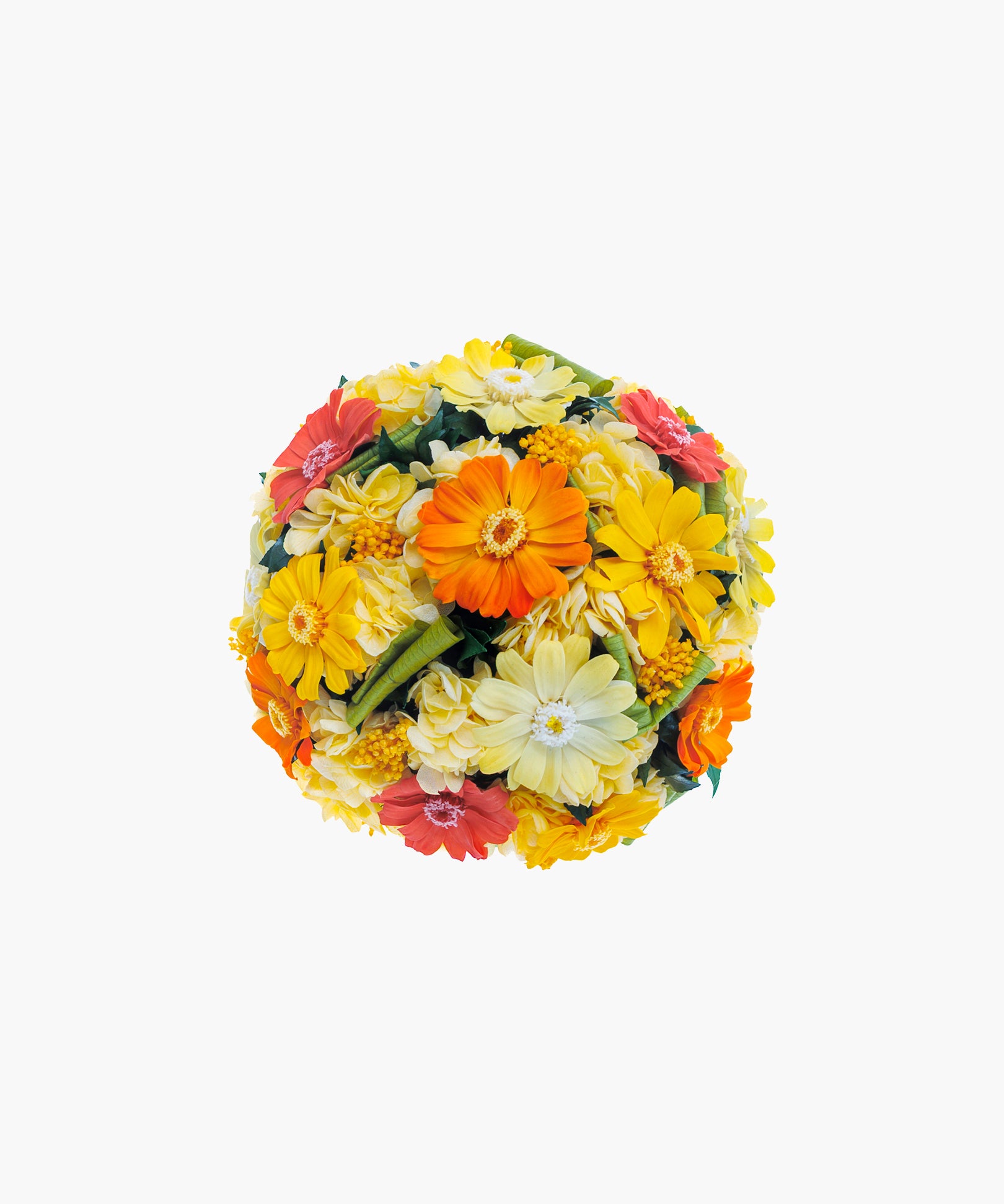 Bright Zinnia (ブライト ジニア)