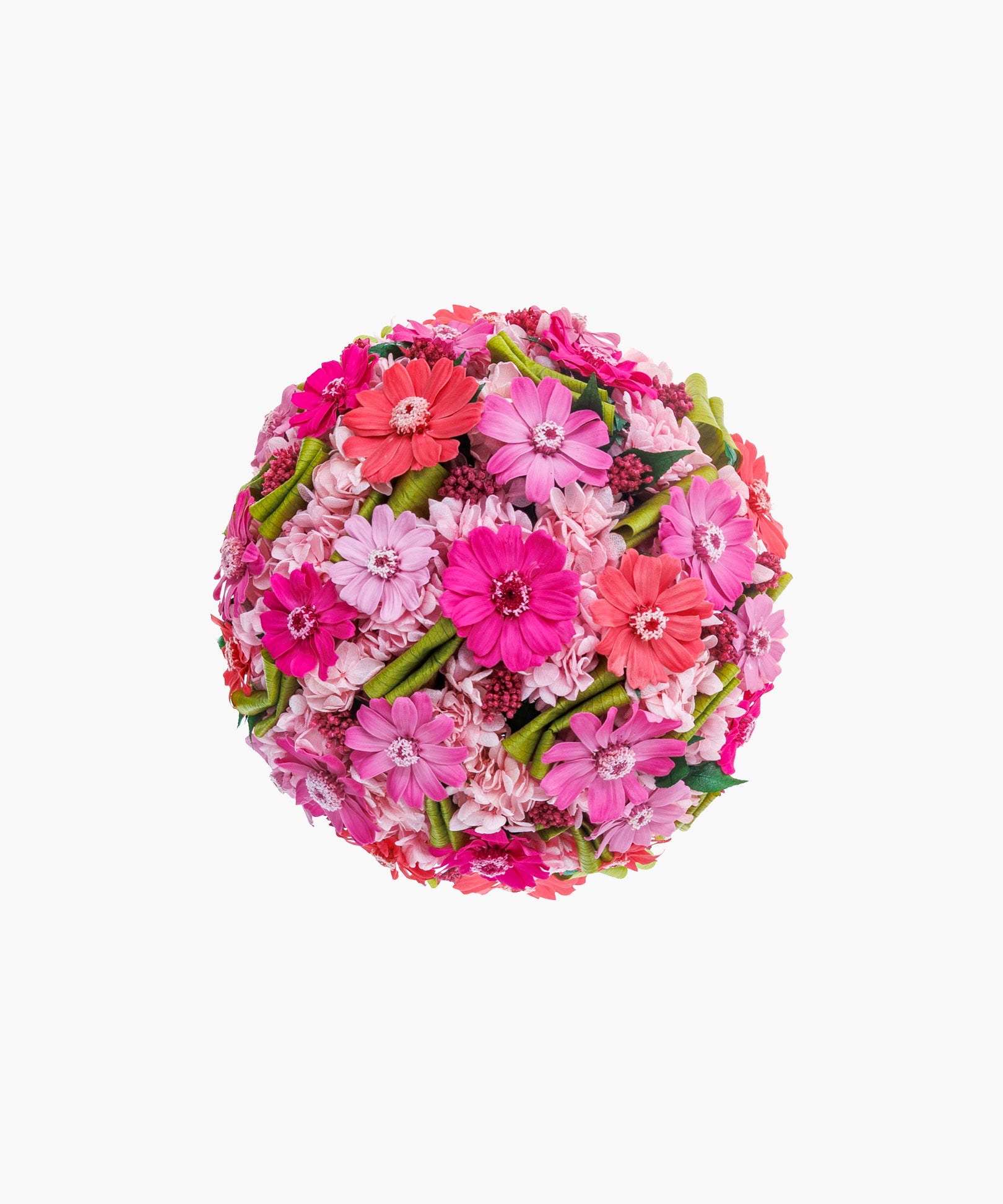 Soft Zinnia (ソフト ジニア)