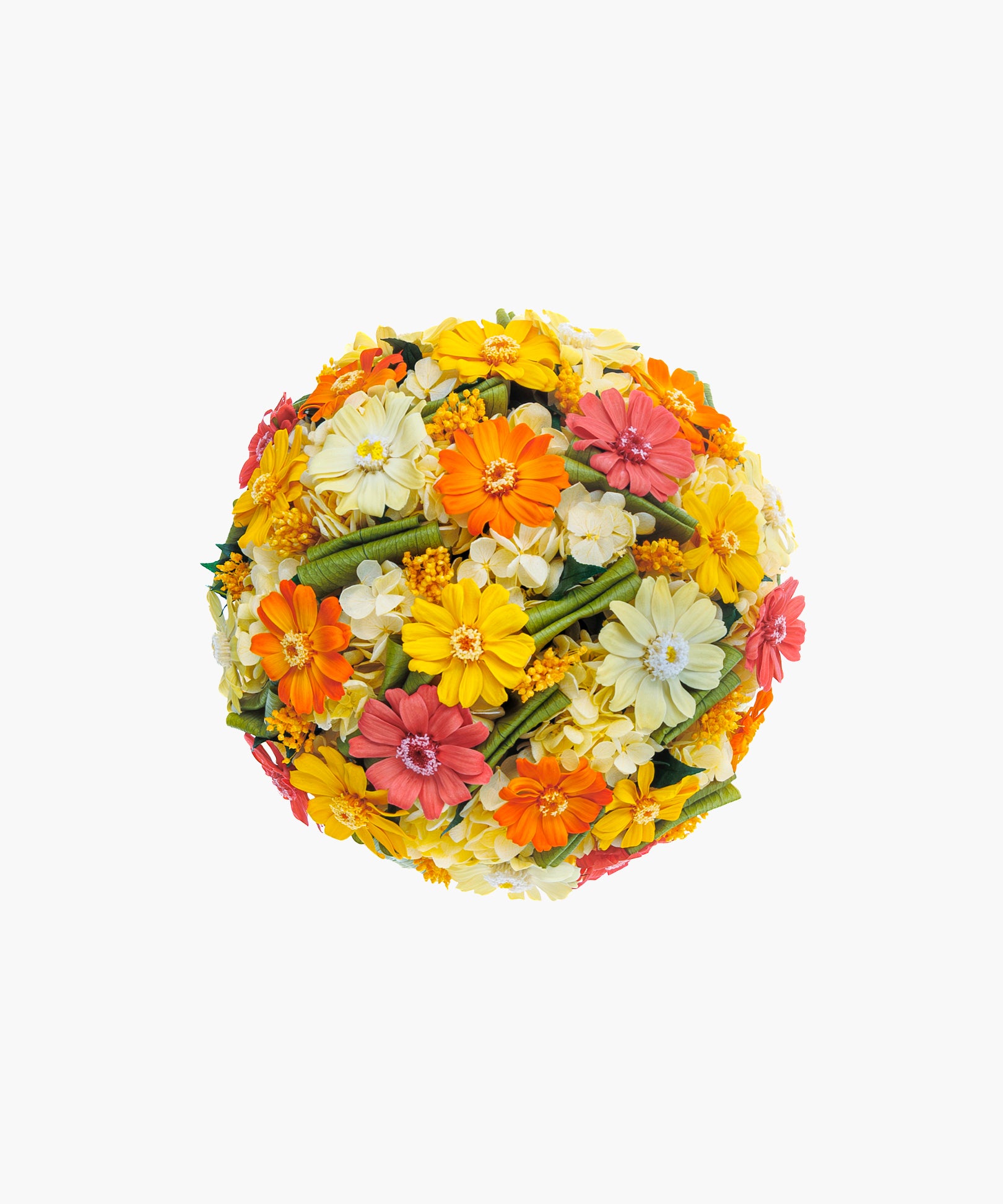 Bright Zinnia (ブライト ジニア)