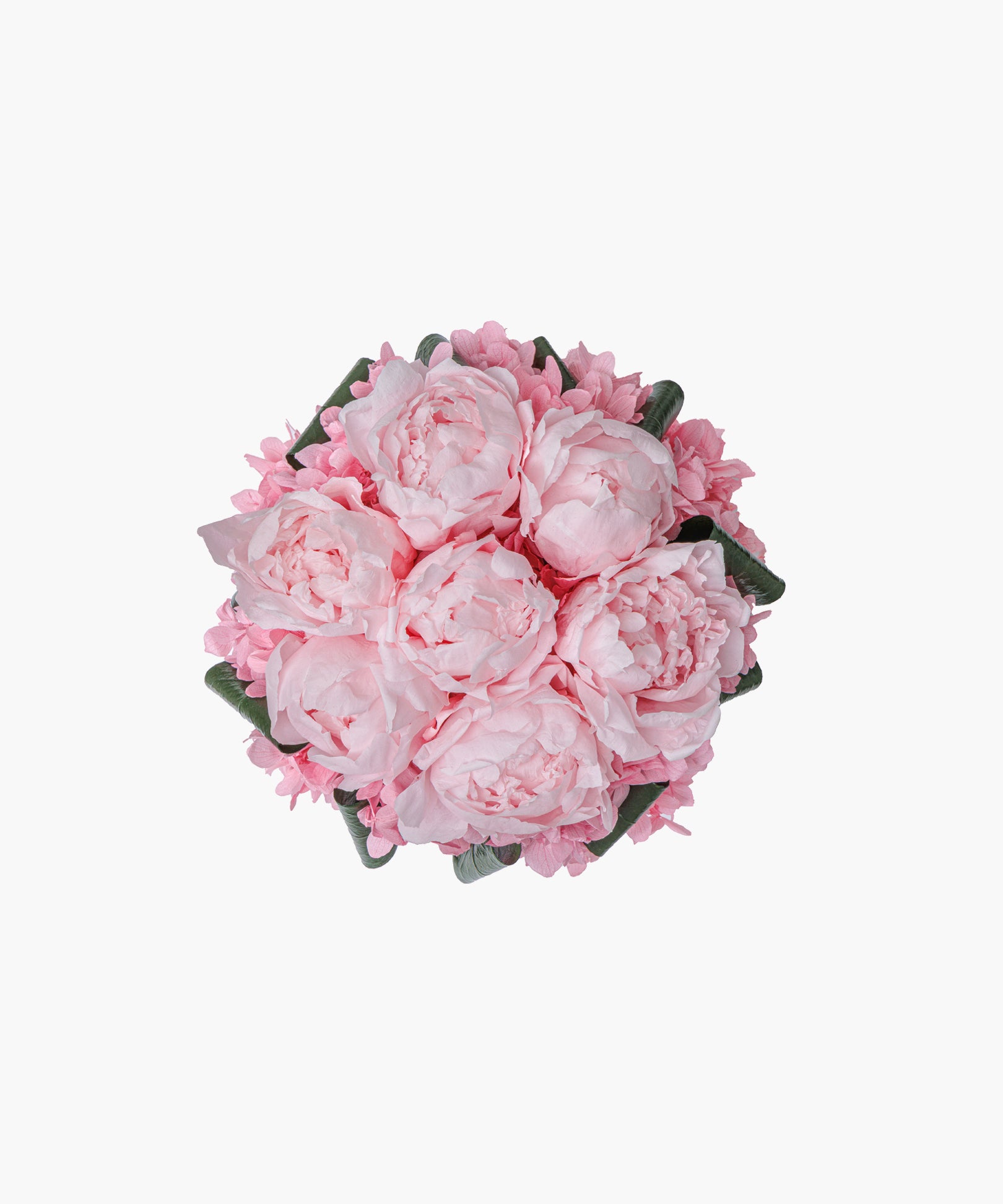 Peony Cube – Soft Pink（ピオニーキューブ – ソフトピンク）