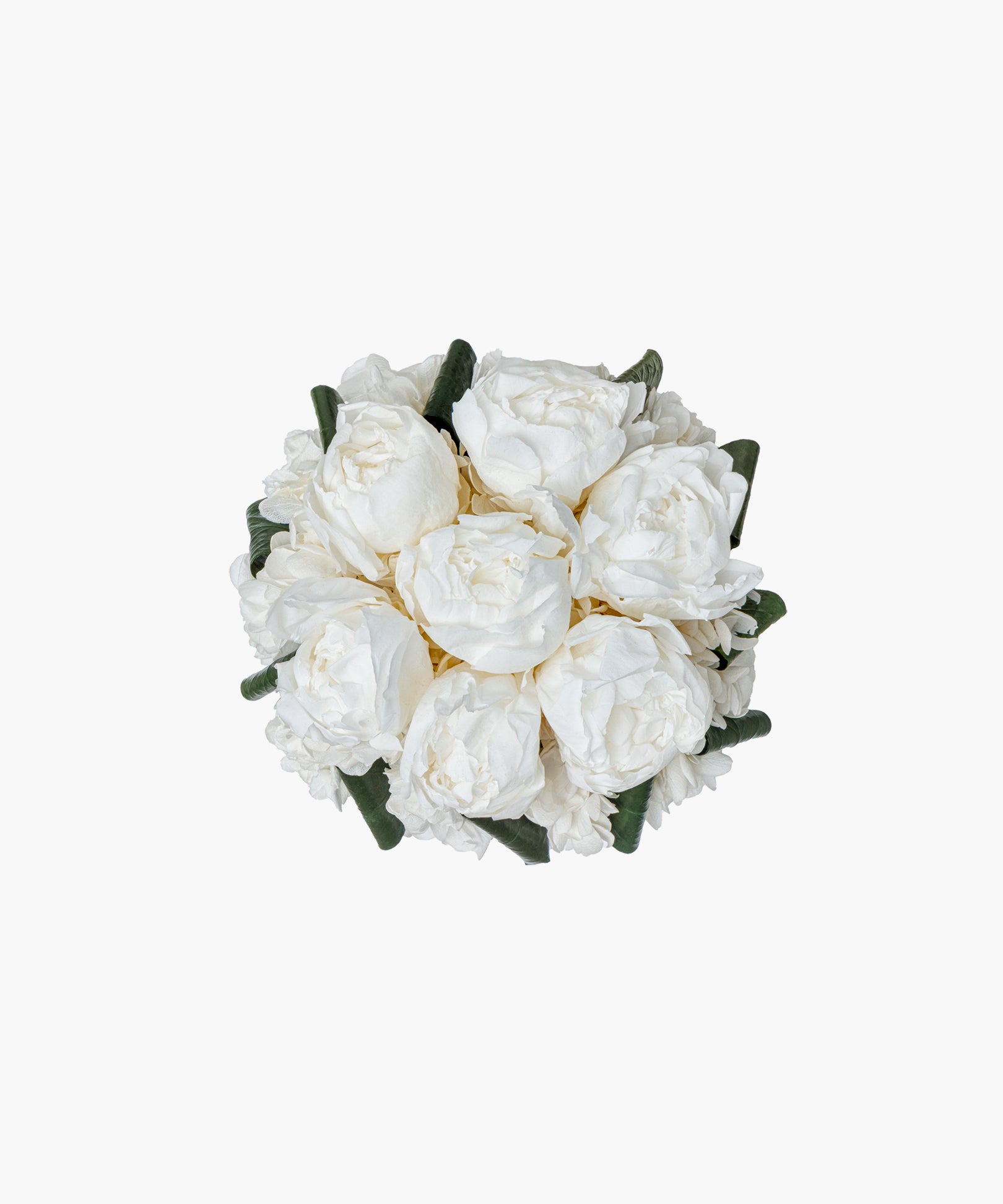 Peony Cube – Pure White（ピオニーキューブ – ピュアホワイト）
