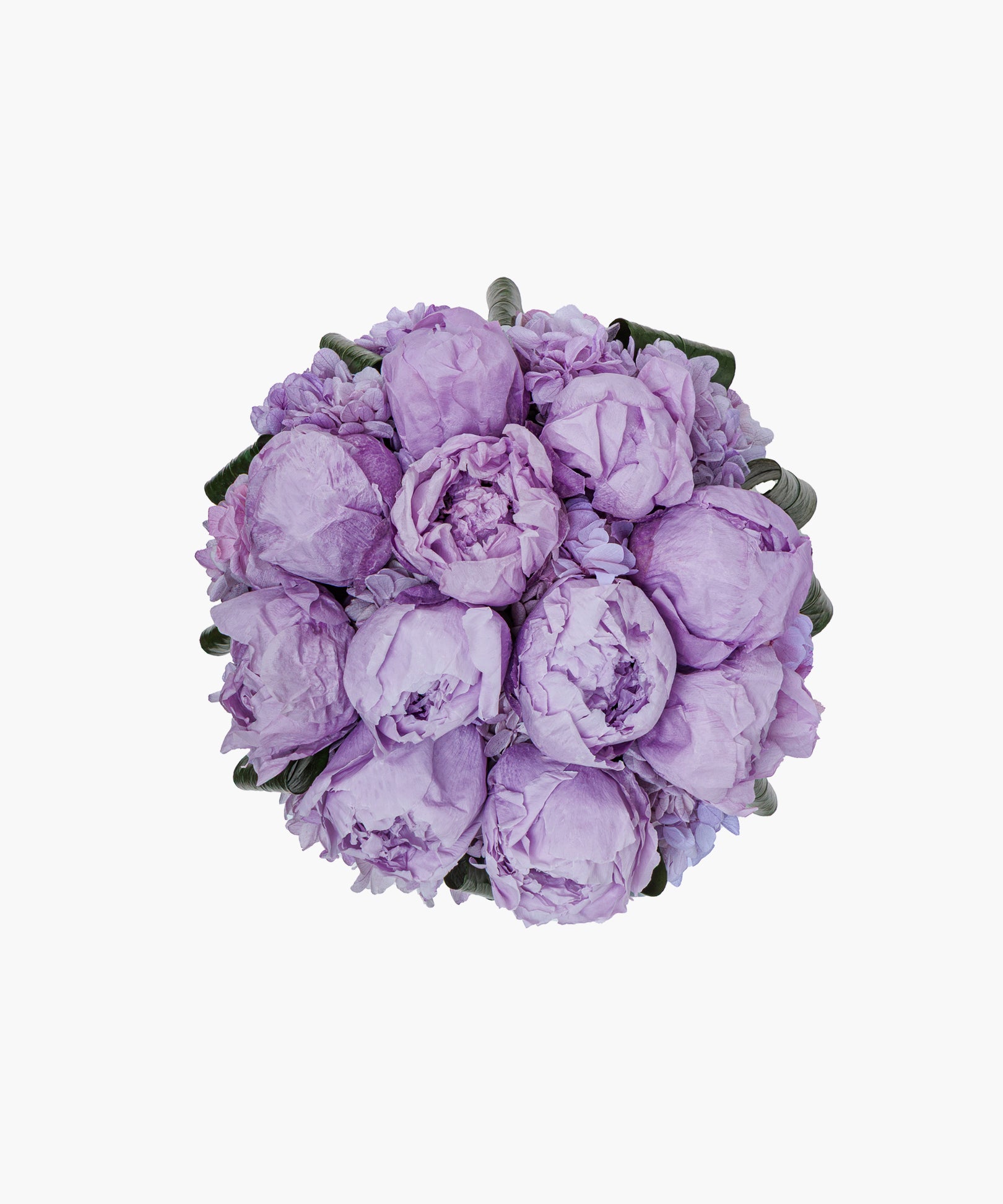 Peony Cube – Lilac Mist（ピオニーキューブ – ライラックミスト）